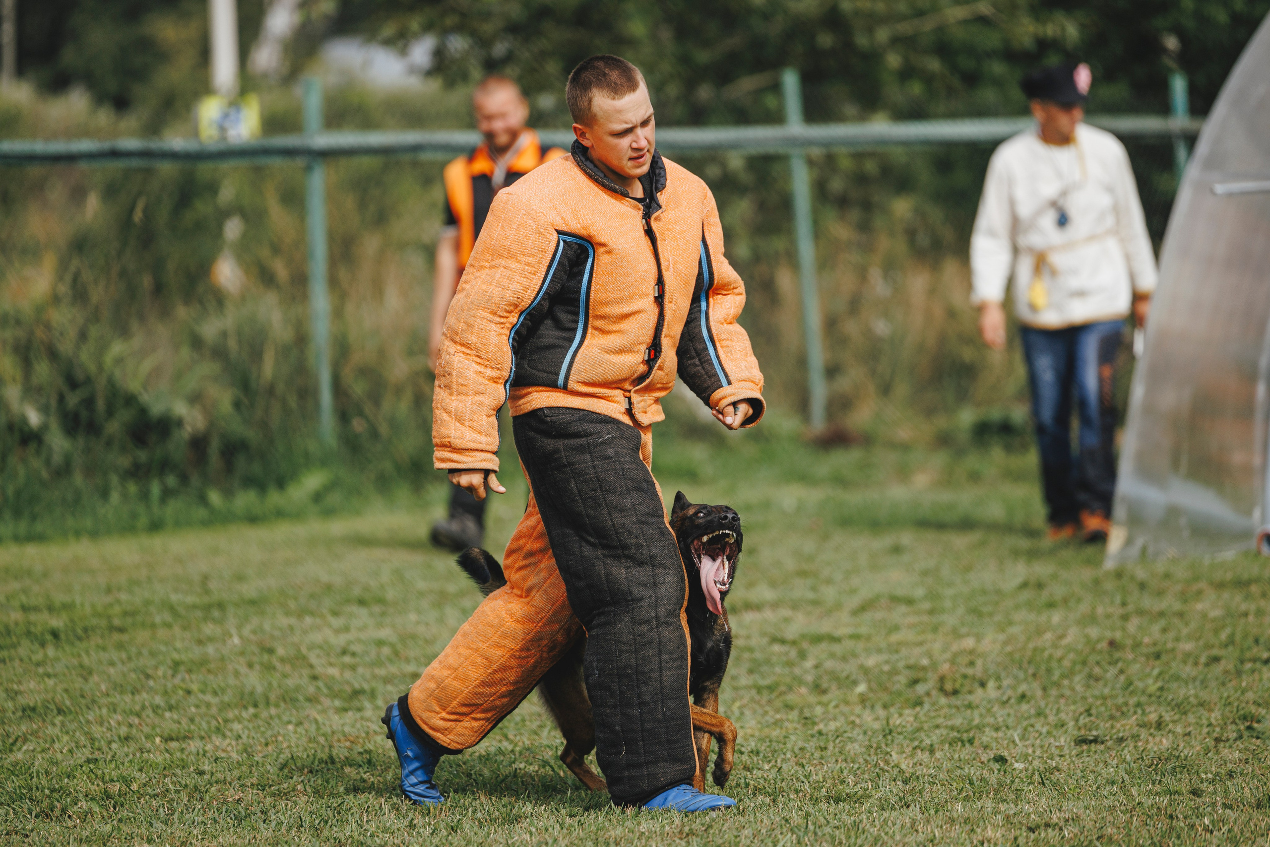 08.08.25-10.08.25 ЧР по мондьорингу г. Вологда. Фотограф-анималист Анна Маринич