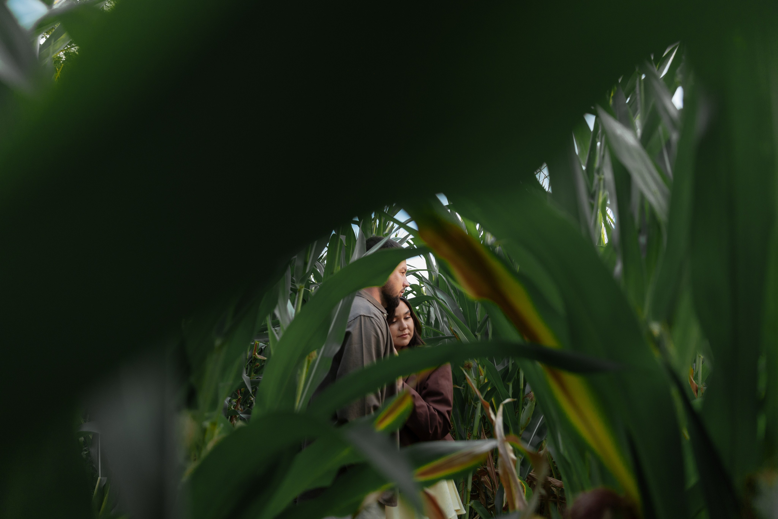 Предсвадебная Подсолнухи. Свадебный и репортажный фотограф г. Чебоксары Евгений Леонидович