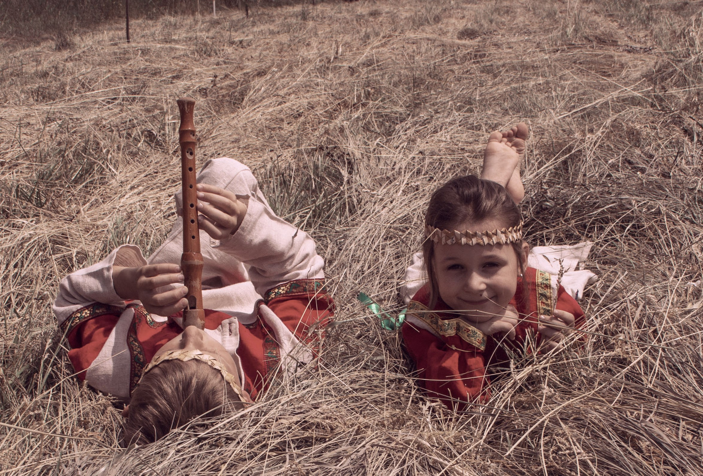 Поле золотое