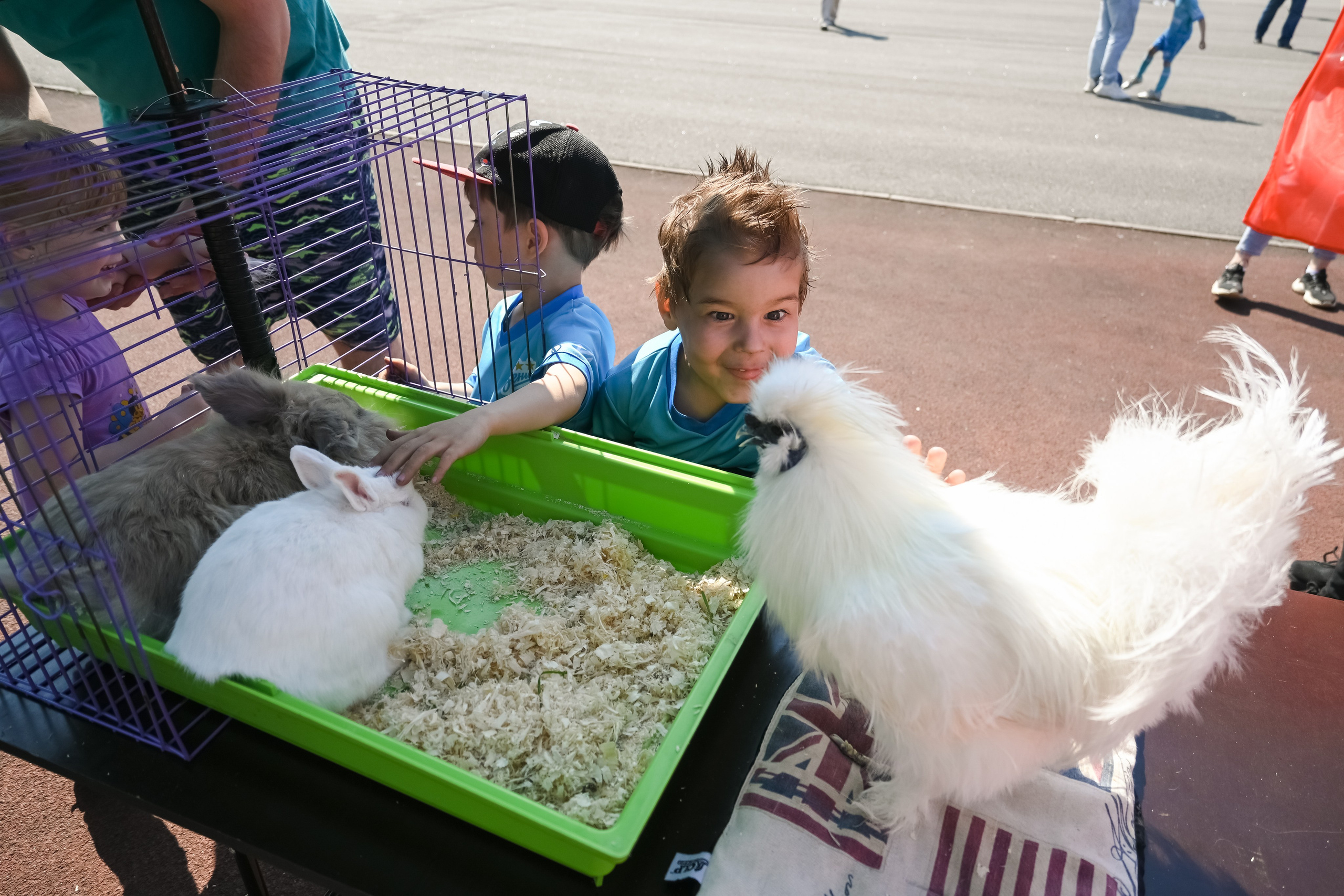 Фоторепортаж Зенит-Чемпионика (чемпионат по футболу). Портретный и репортажный фотограф в Санкт-Петербурге | Валерия Кайряк