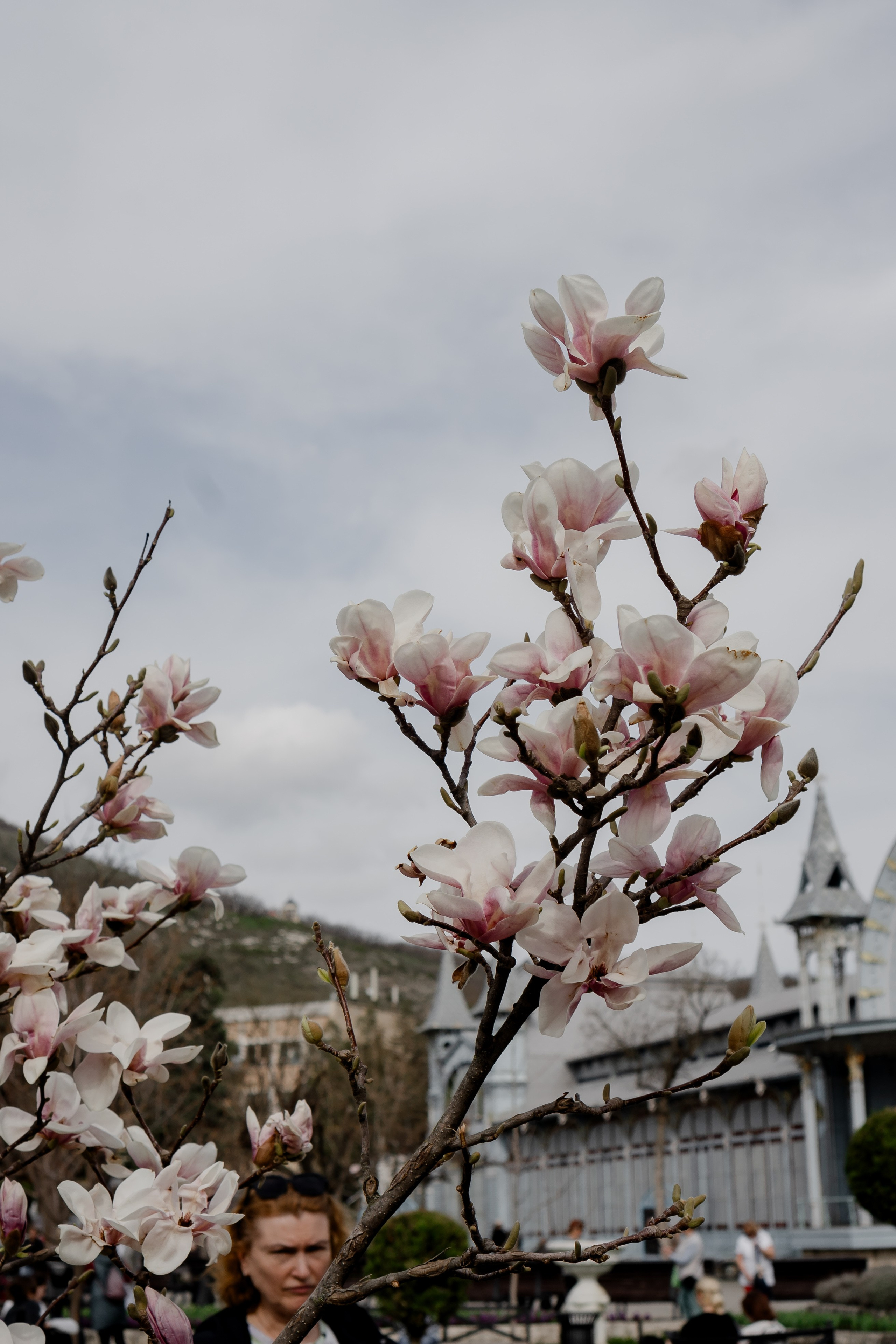 ПЯТИГОРСК. Профессиональный фотограф, Санкт-Петербург — Виктория Богомолова