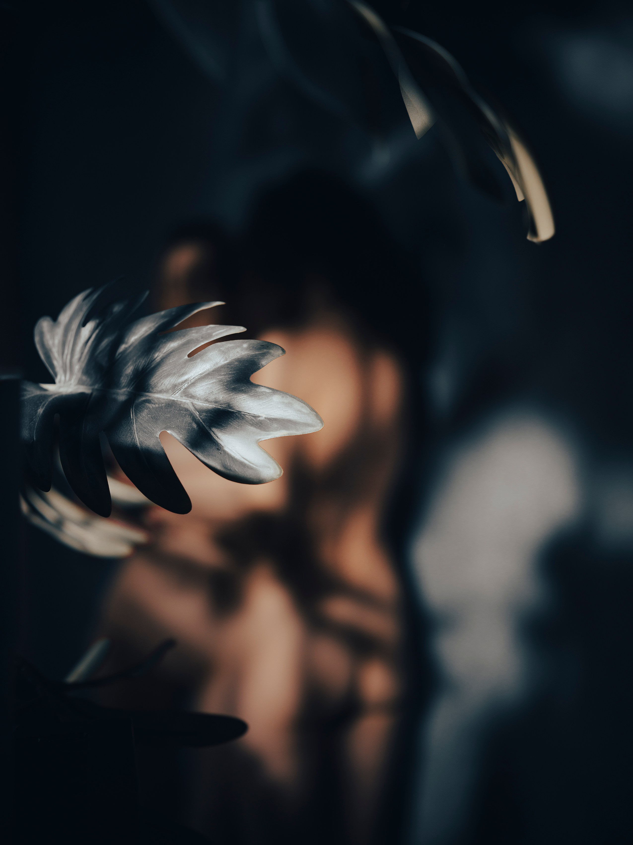 Ню-ню…. Творческий фотограф Ирина Баландина.  Санкт-Петербург, Мурманск