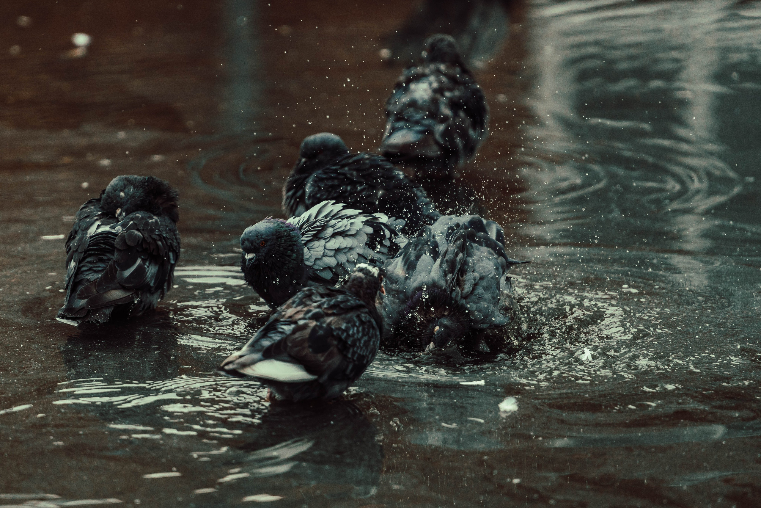 Усть-Каменогорск, Сентябрь 2024