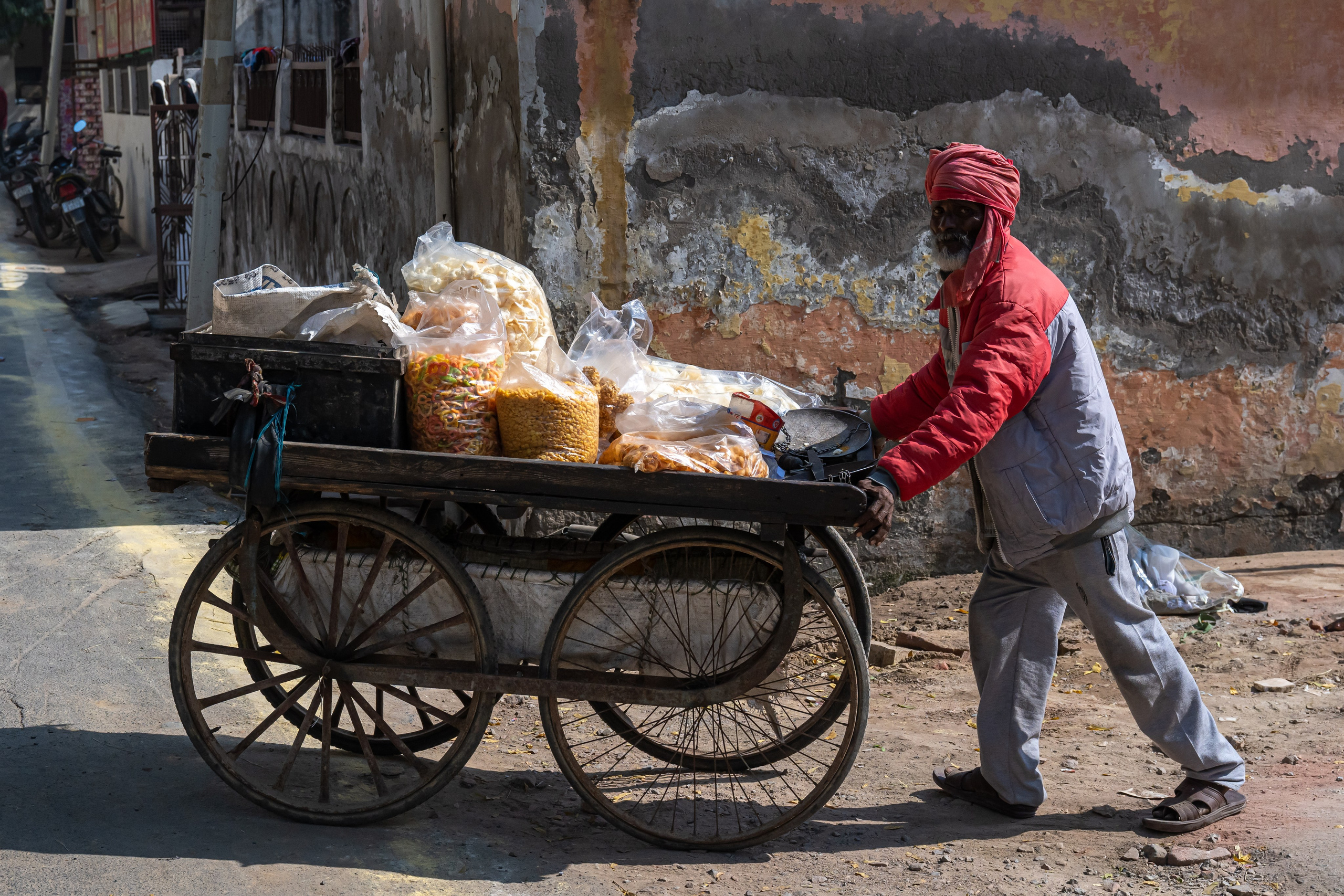 India 2024-2025. Dimitri Bakhtadze photographer