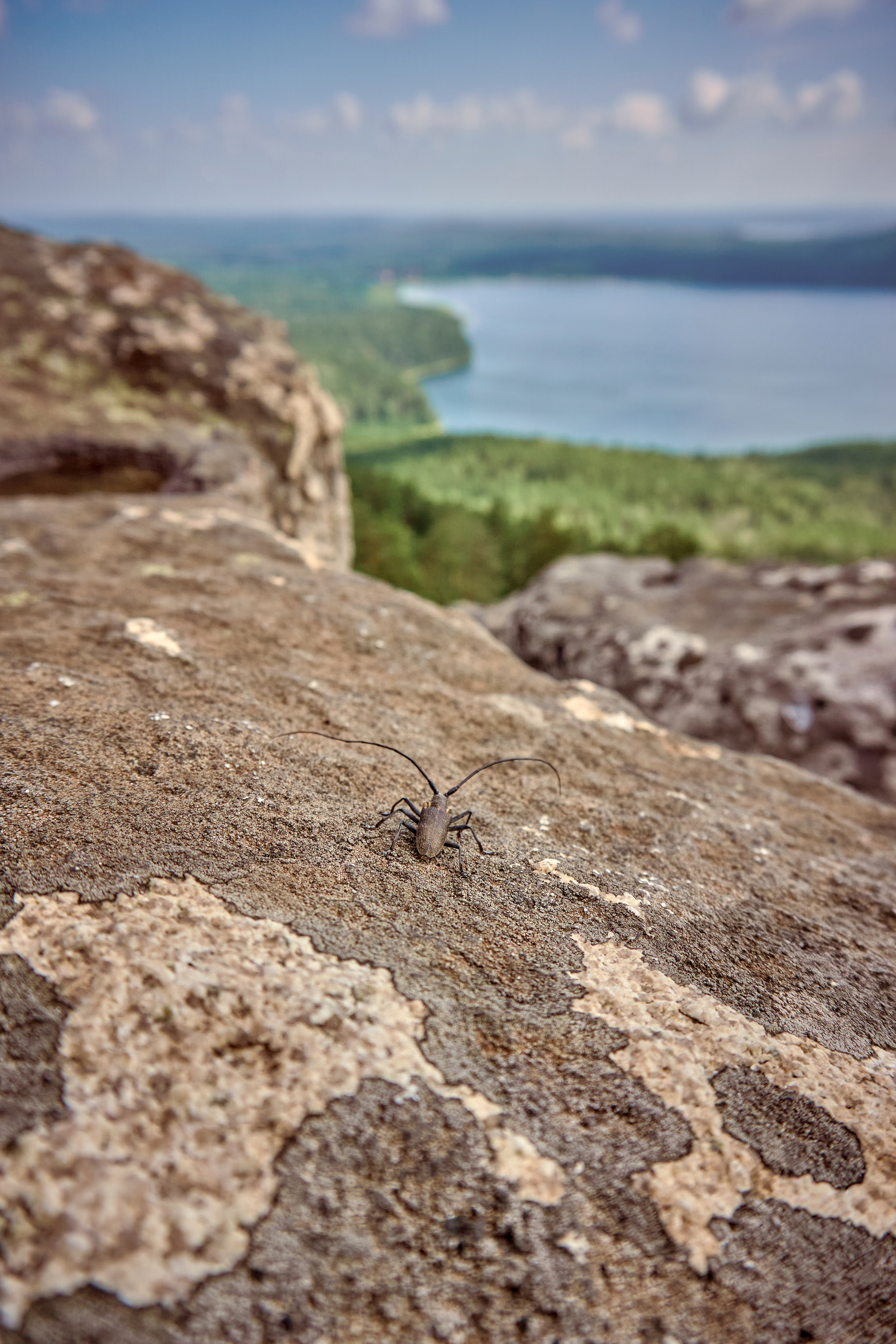 Репортаж/Портреты. …