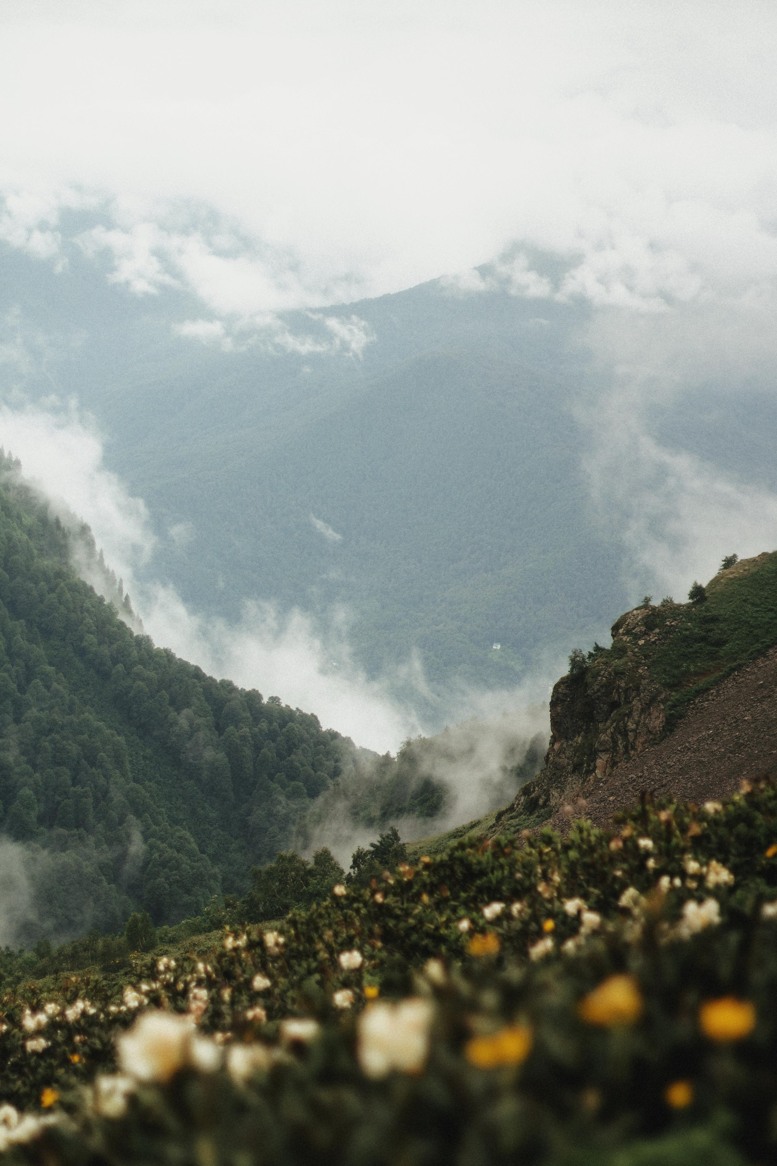 Настя|миша. Фотограф Сочи. Екатерина Афанасьева
