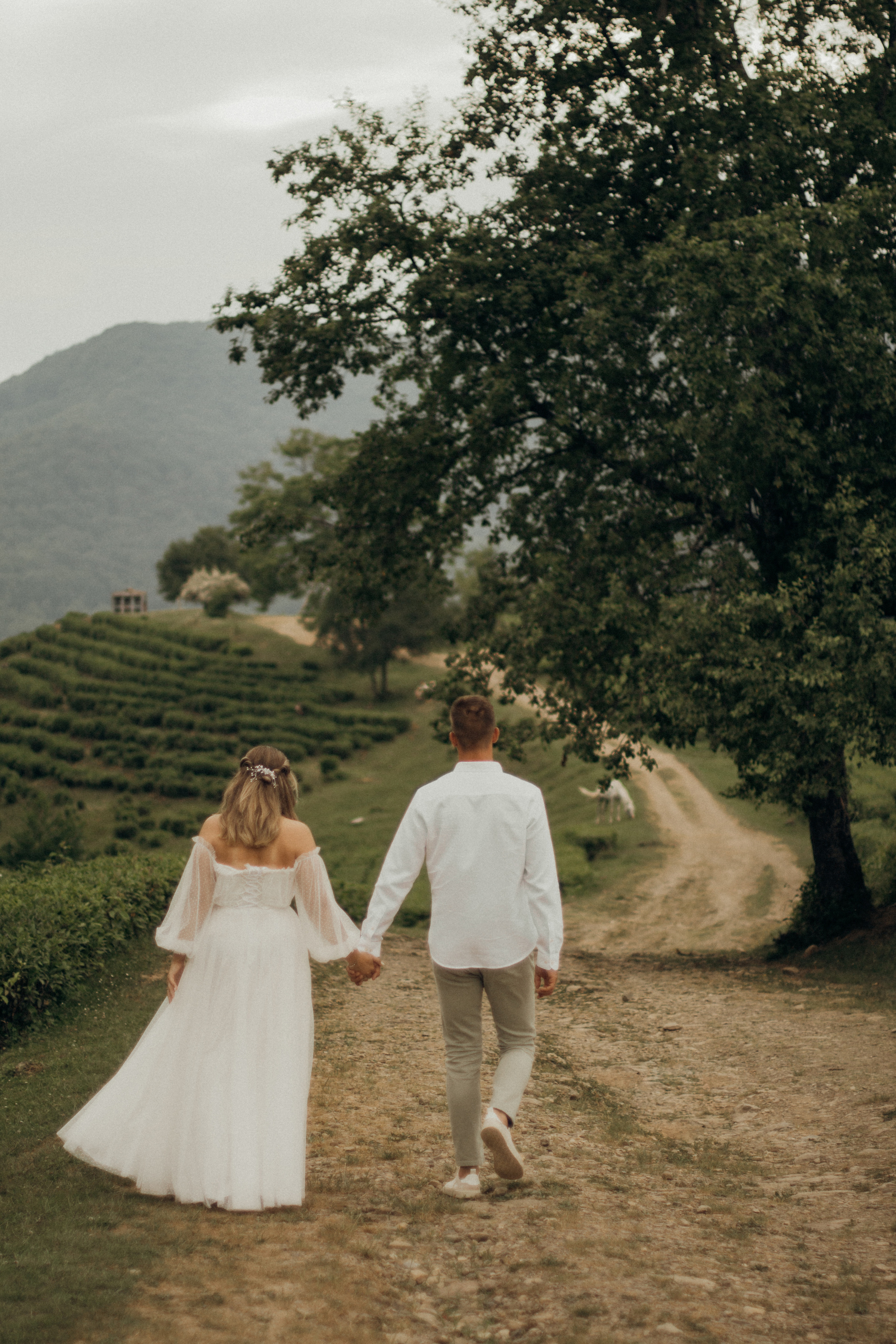 Чайный воздух. Фотограф Сочи. Екатерина Афанасьева