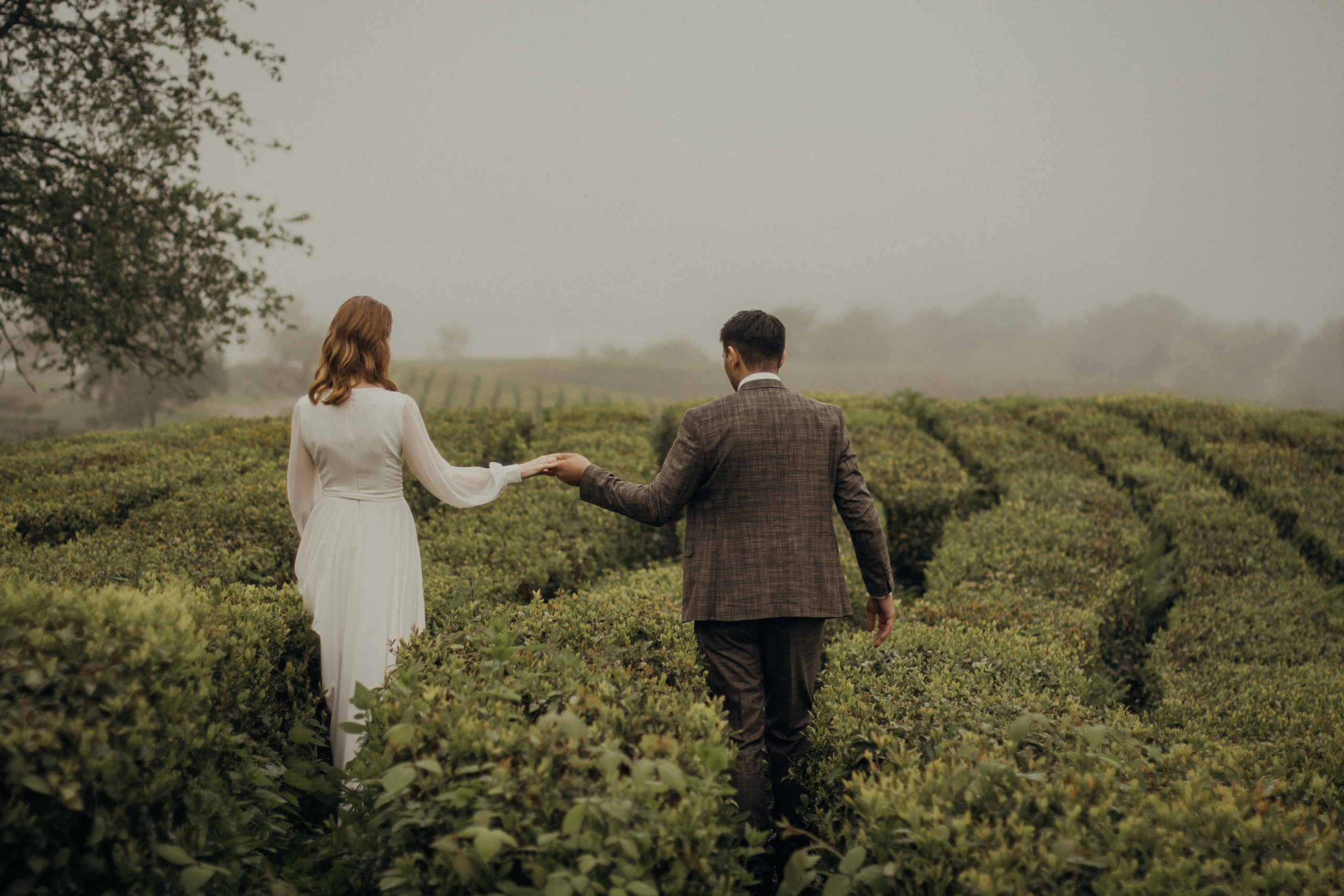 Пасмурное кино. Фотограф Сочи. Екатерина Афанасьева