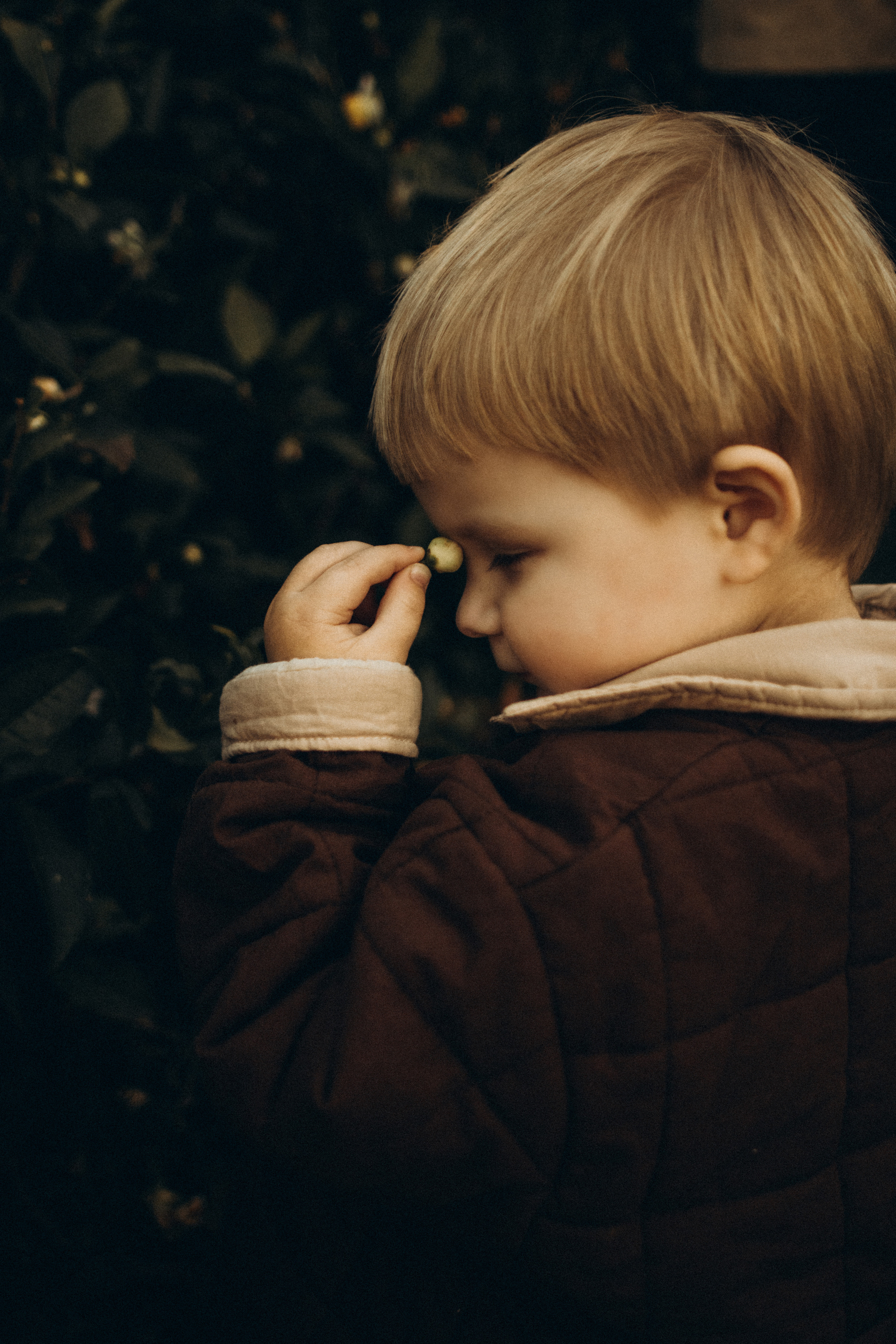 Лиза-Лев-Илья. Фотограф Сочи. Екатерина Афанасьева