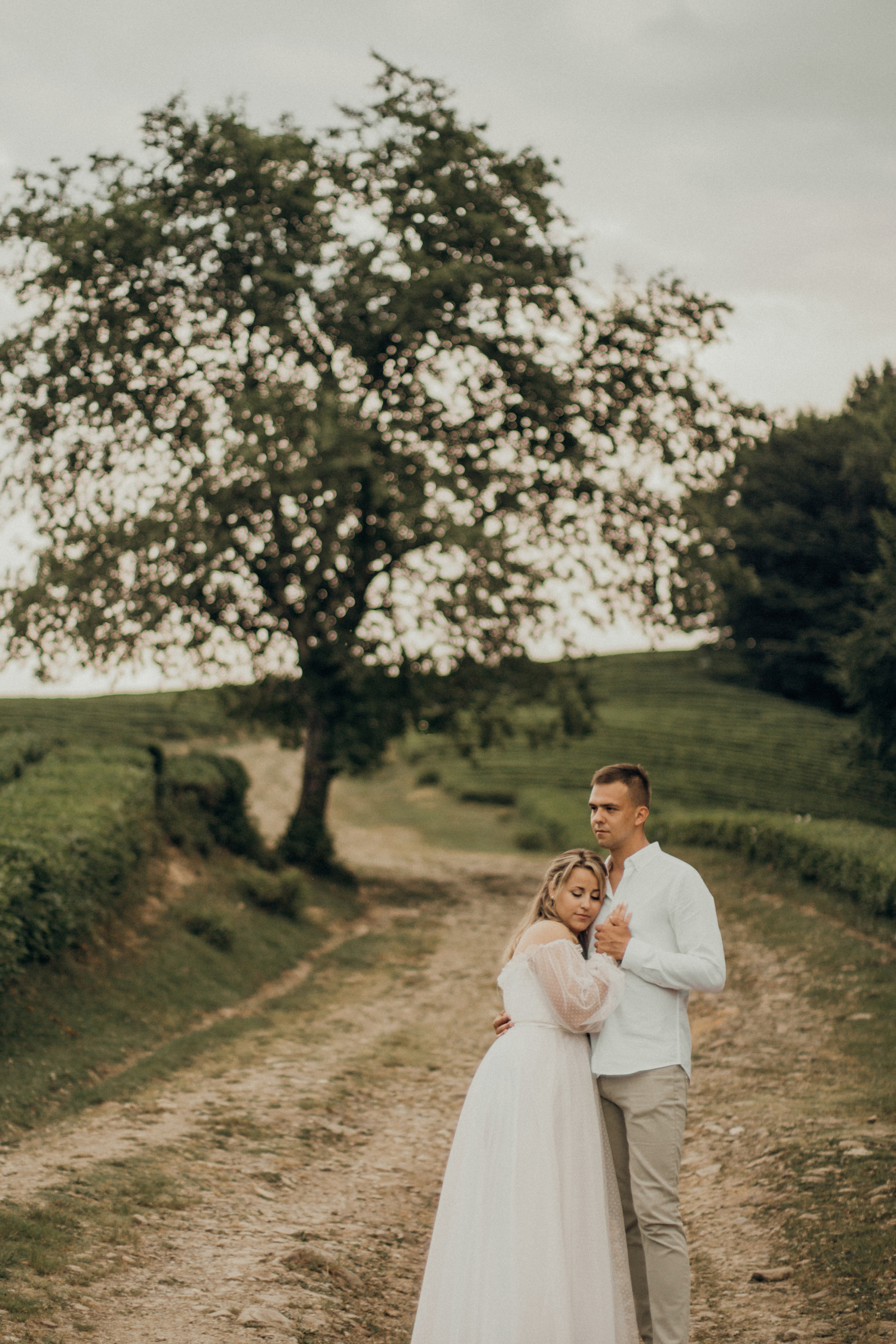 Чайный воздух. Фотограф Сочи. Екатерина Афанасьева