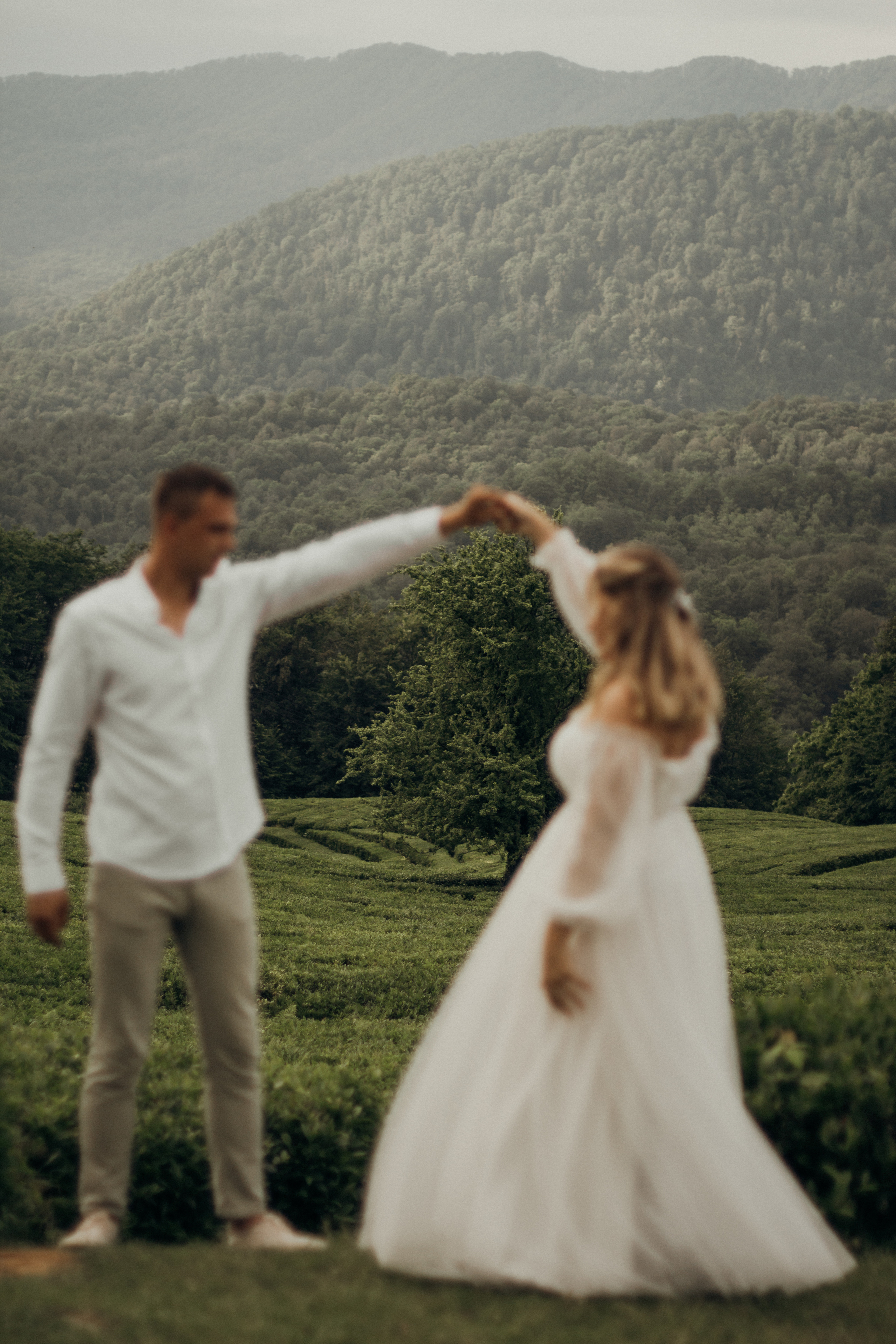 Чайный воздух. Фотограф Сочи. Екатерина Афанасьева