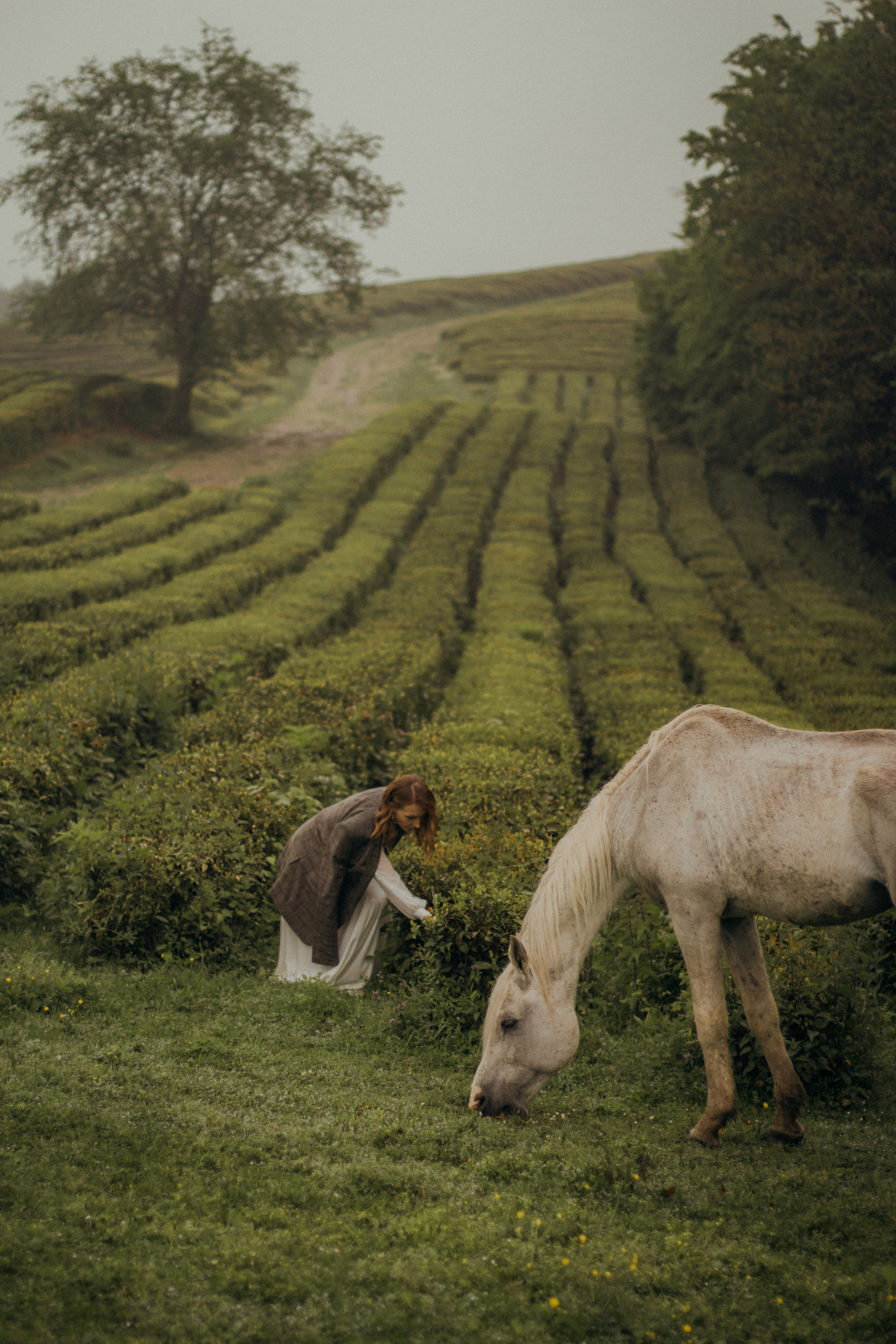 Пасмурное кино. Фотограф Сочи. Екатерина Афанасьева