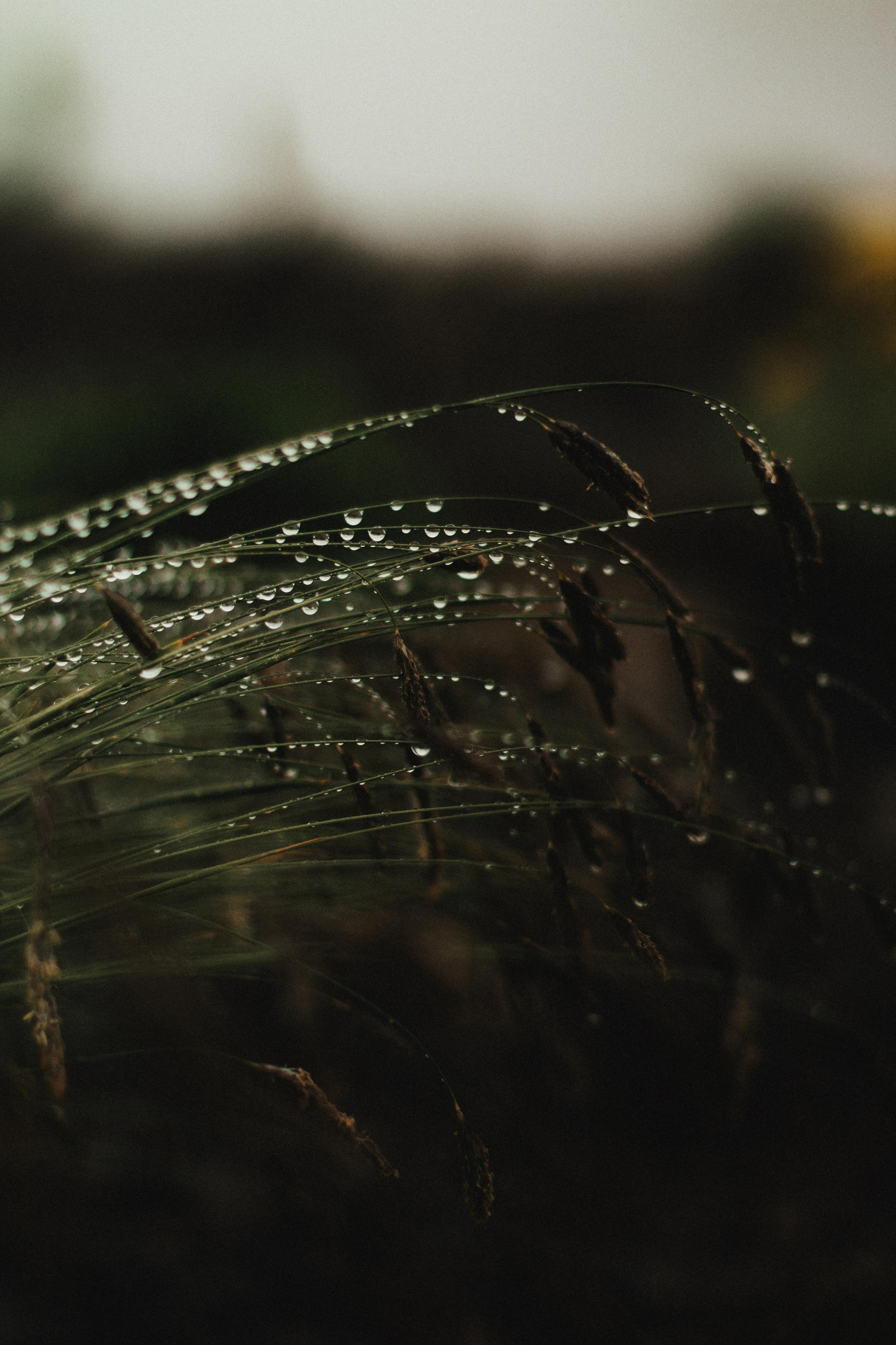 Настя|миша. Фотограф Сочи. Екатерина Афанасьева