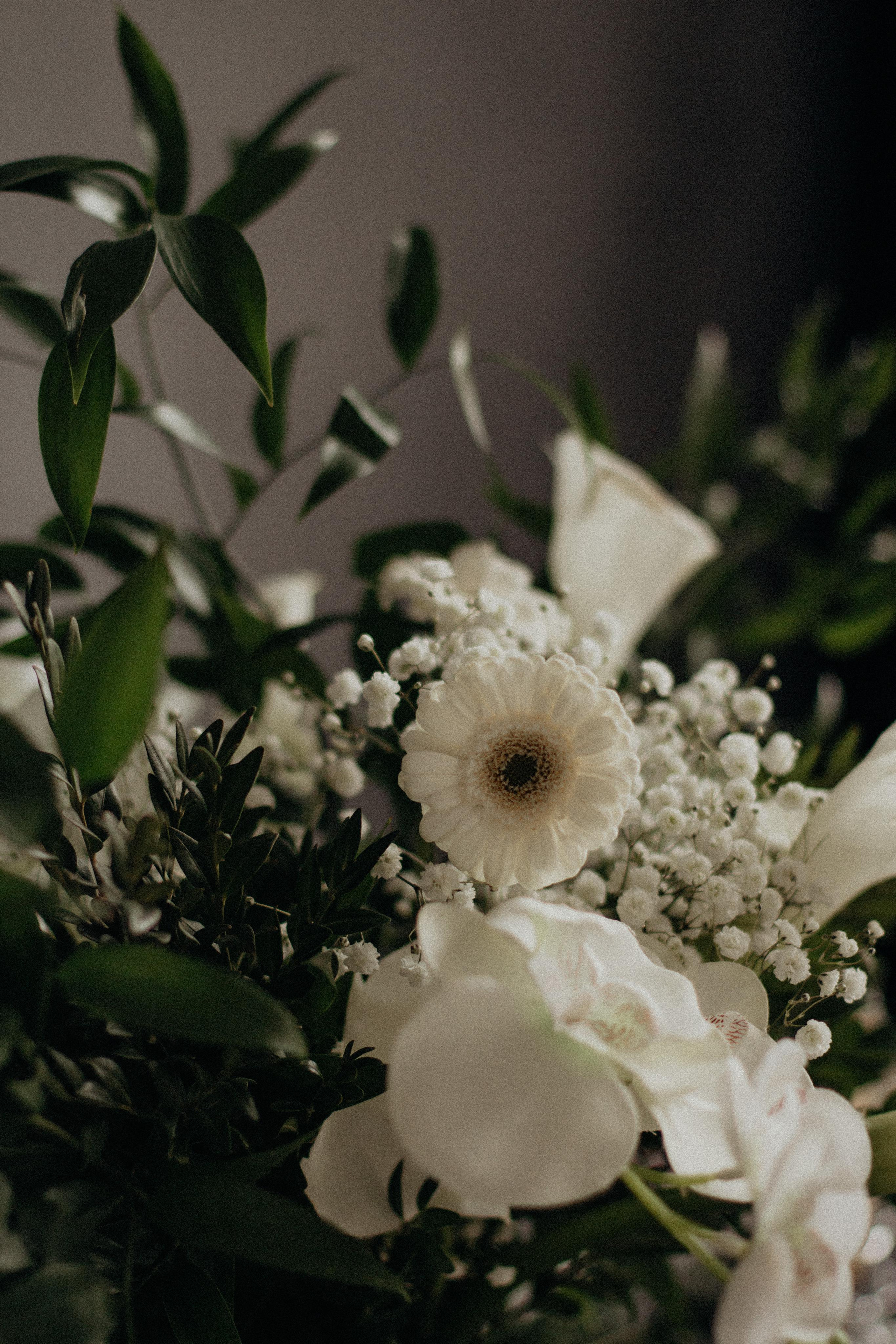 Искренность. Фотограф Сочи. Екатерина Афанасьева