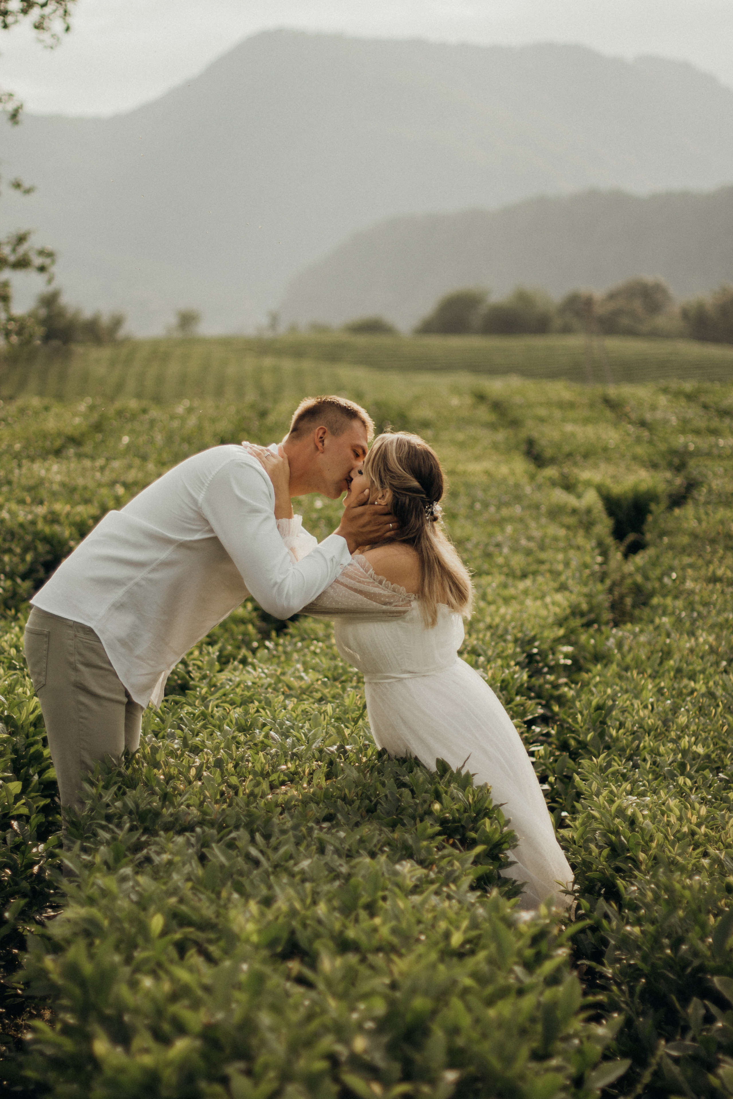 Чайный воздух. Фотограф Сочи. Екатерина Афанасьева