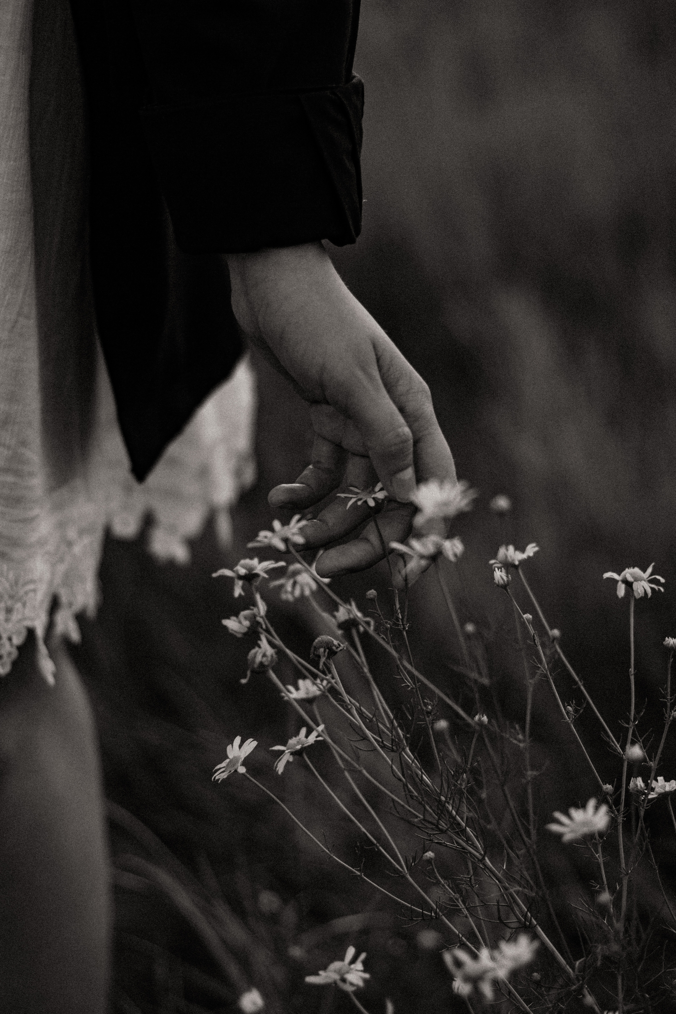 Ветряные мельницы. Фотограф Сочи. Екатерина Афанасьева