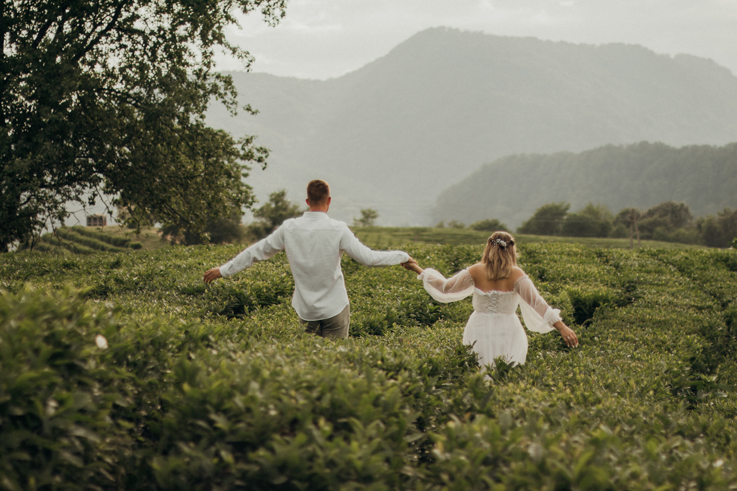 Чайный воздух. Фотограф Сочи. Екатерина Афанасьева