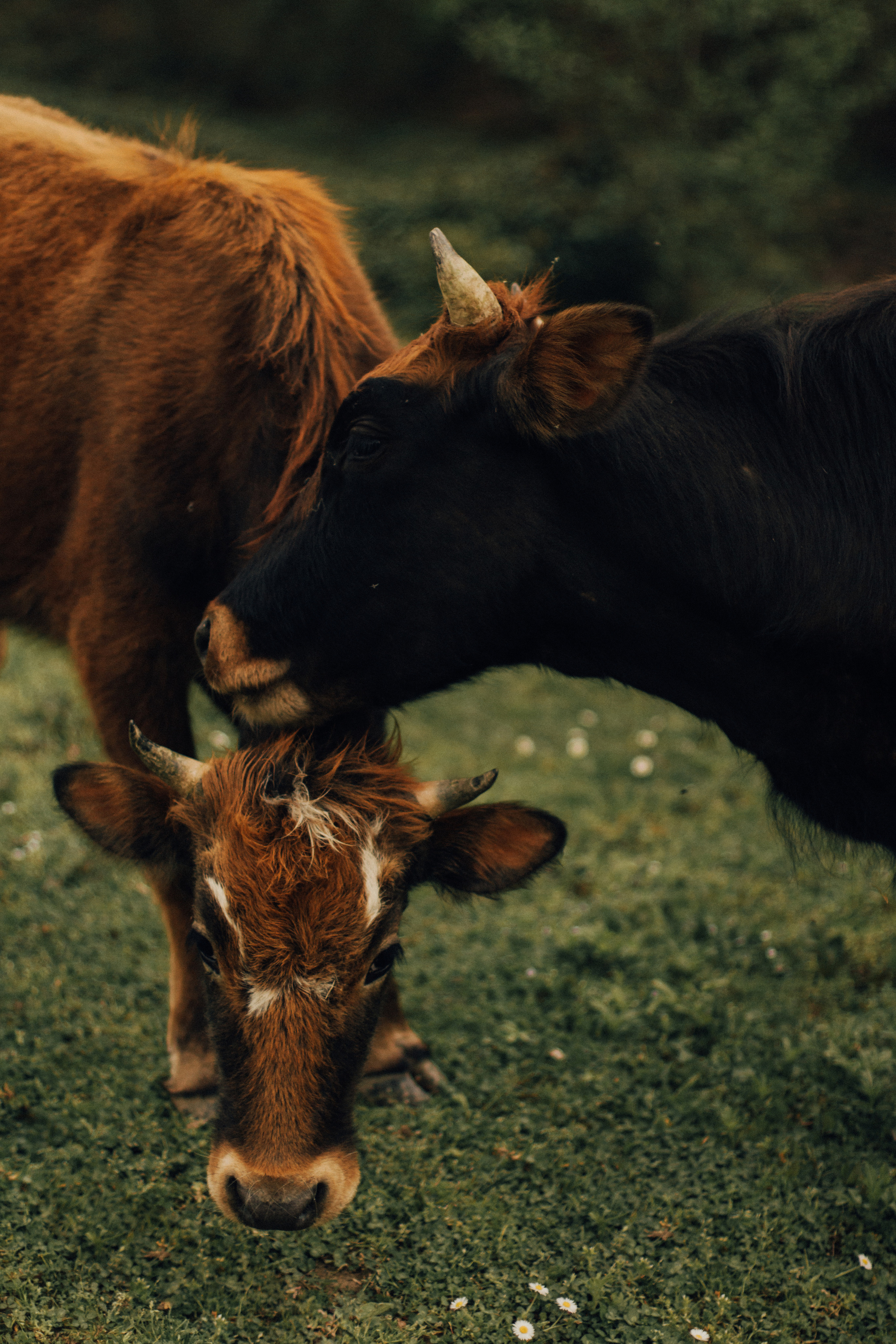 Тихонько о чувствах. Фотограф Сочи. Екатерина Афанасьева