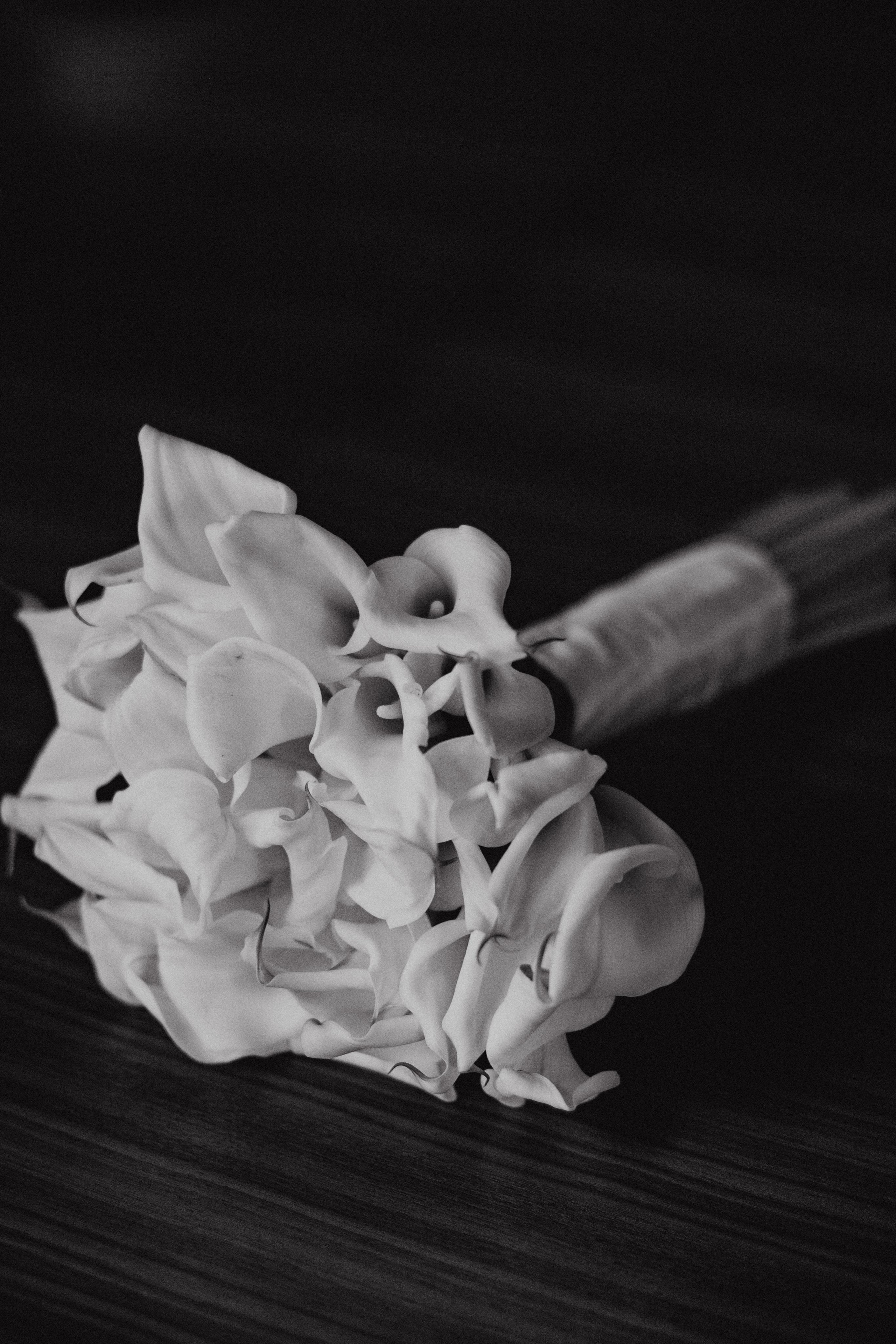 В уютном кафе. Фотограф Сочи. Екатерина Афанасьева