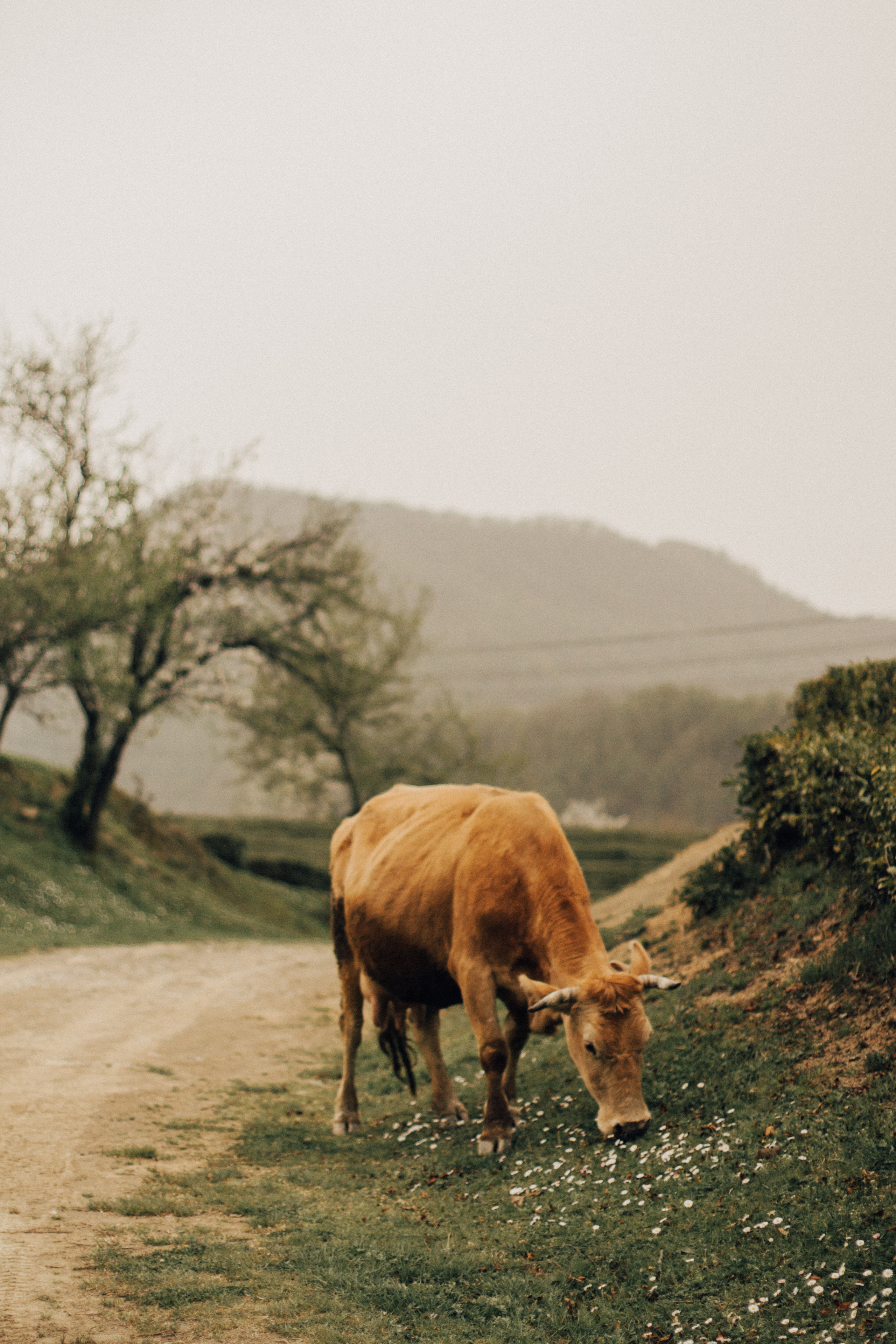 Тихонько о чувствах. Фотограф Сочи. Екатерина Афанасьева