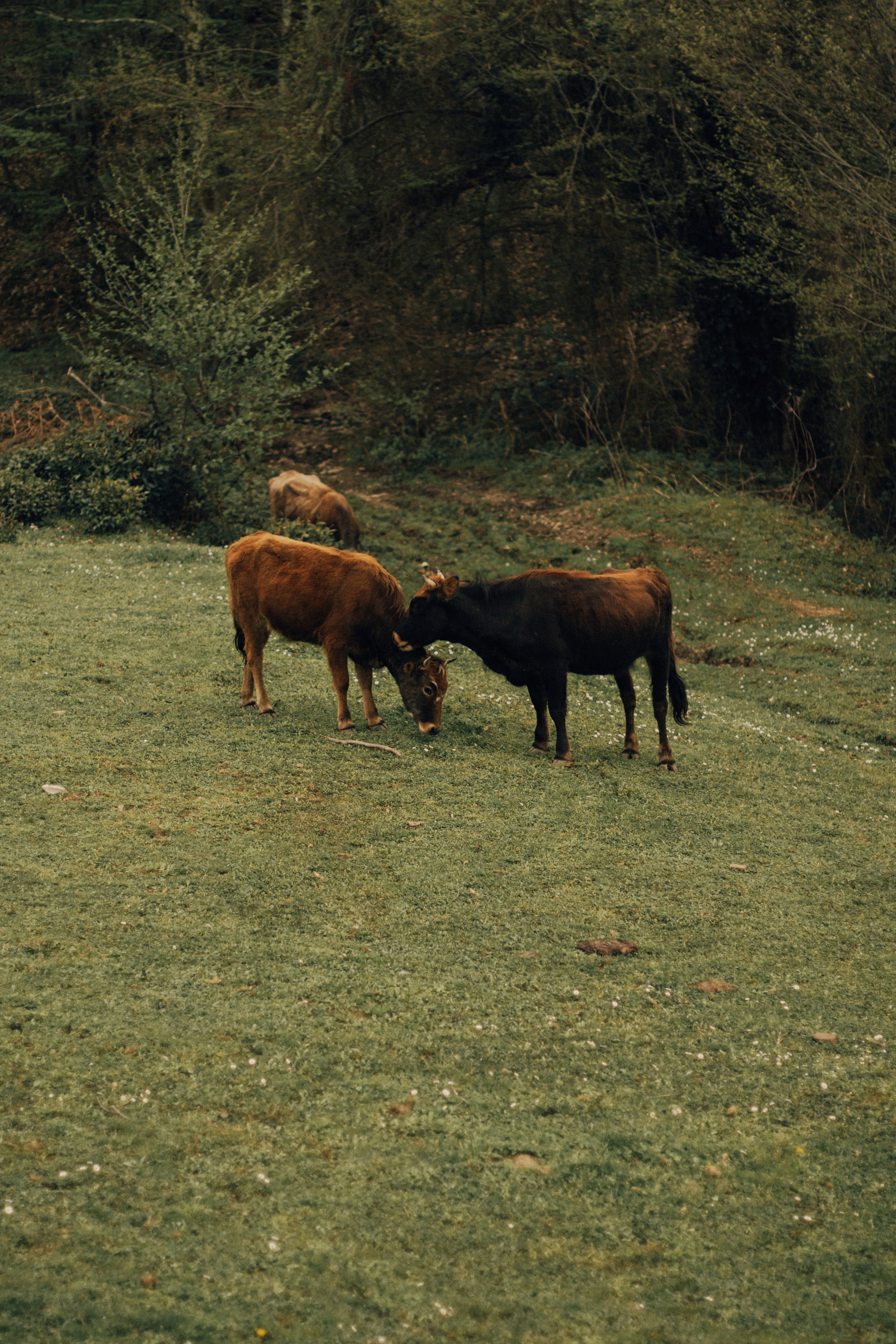 Тихонько о чувствах. Фотограф Сочи. Екатерина Афанасьева