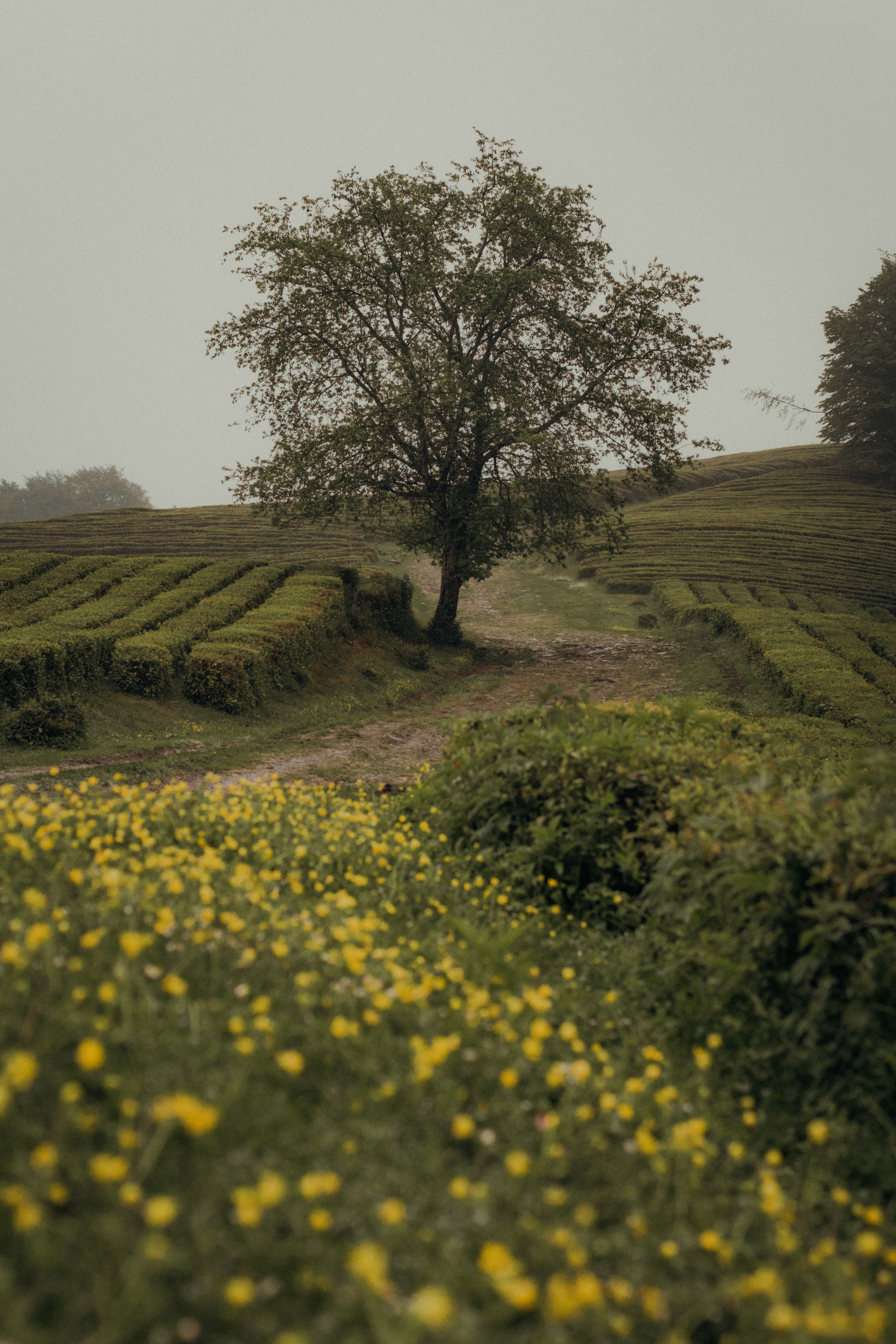 Пасмурное кино. Фотограф Сочи. Екатерина Афанасьева