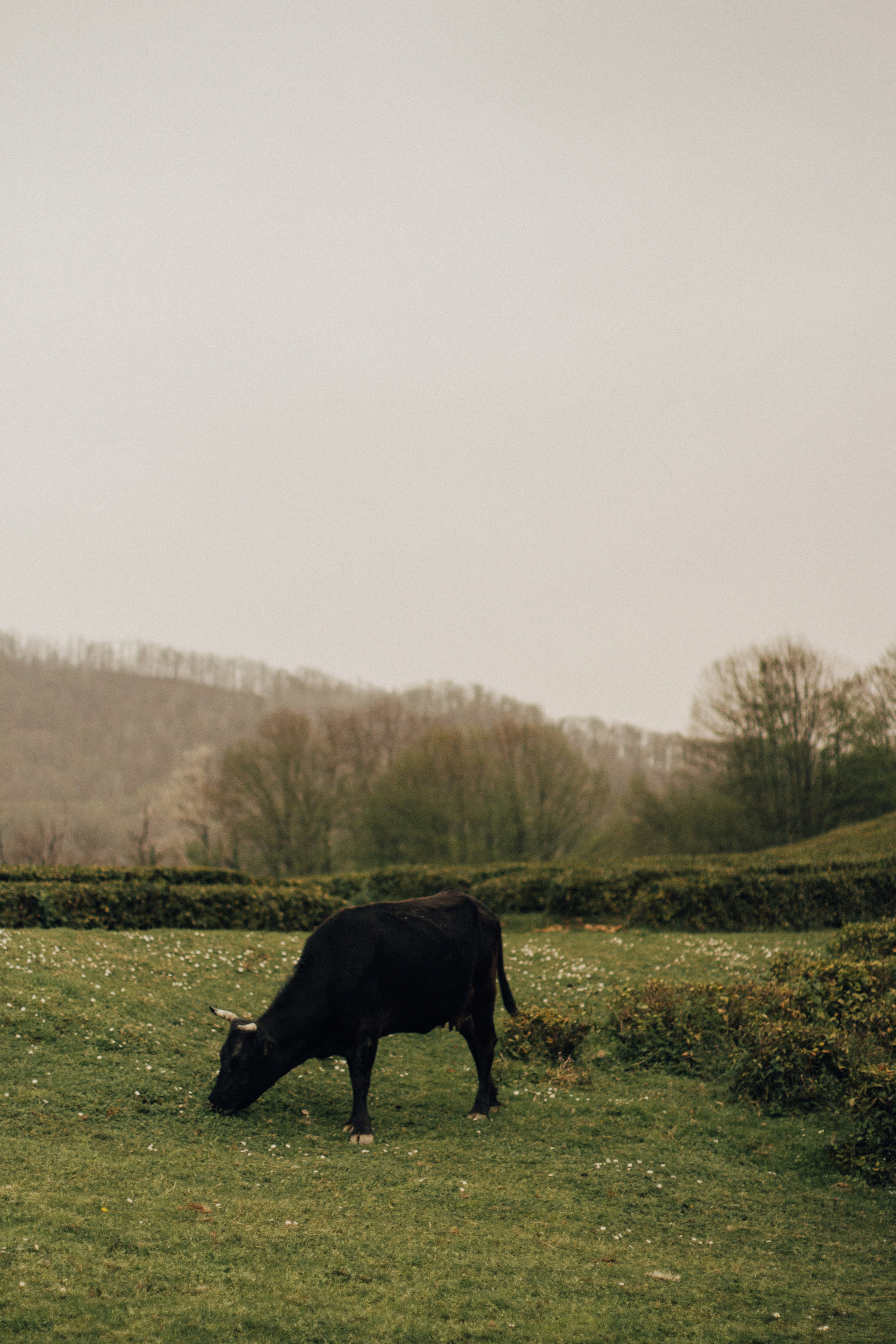 Тихонько о чувствах. Фотограф Сочи. Екатерина Афанасьева