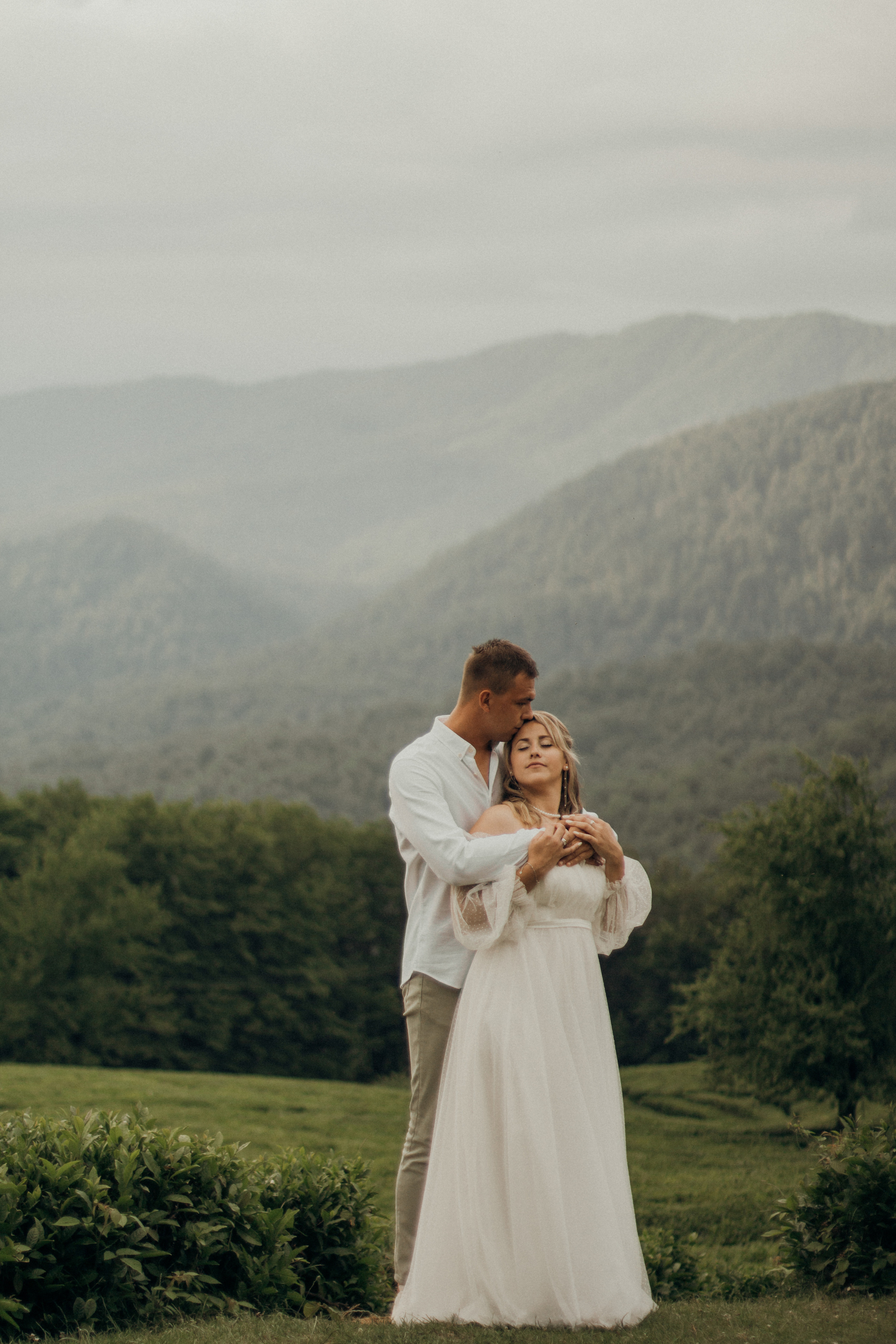 Чайный воздух. Фотограф Сочи. Екатерина Афанасьева