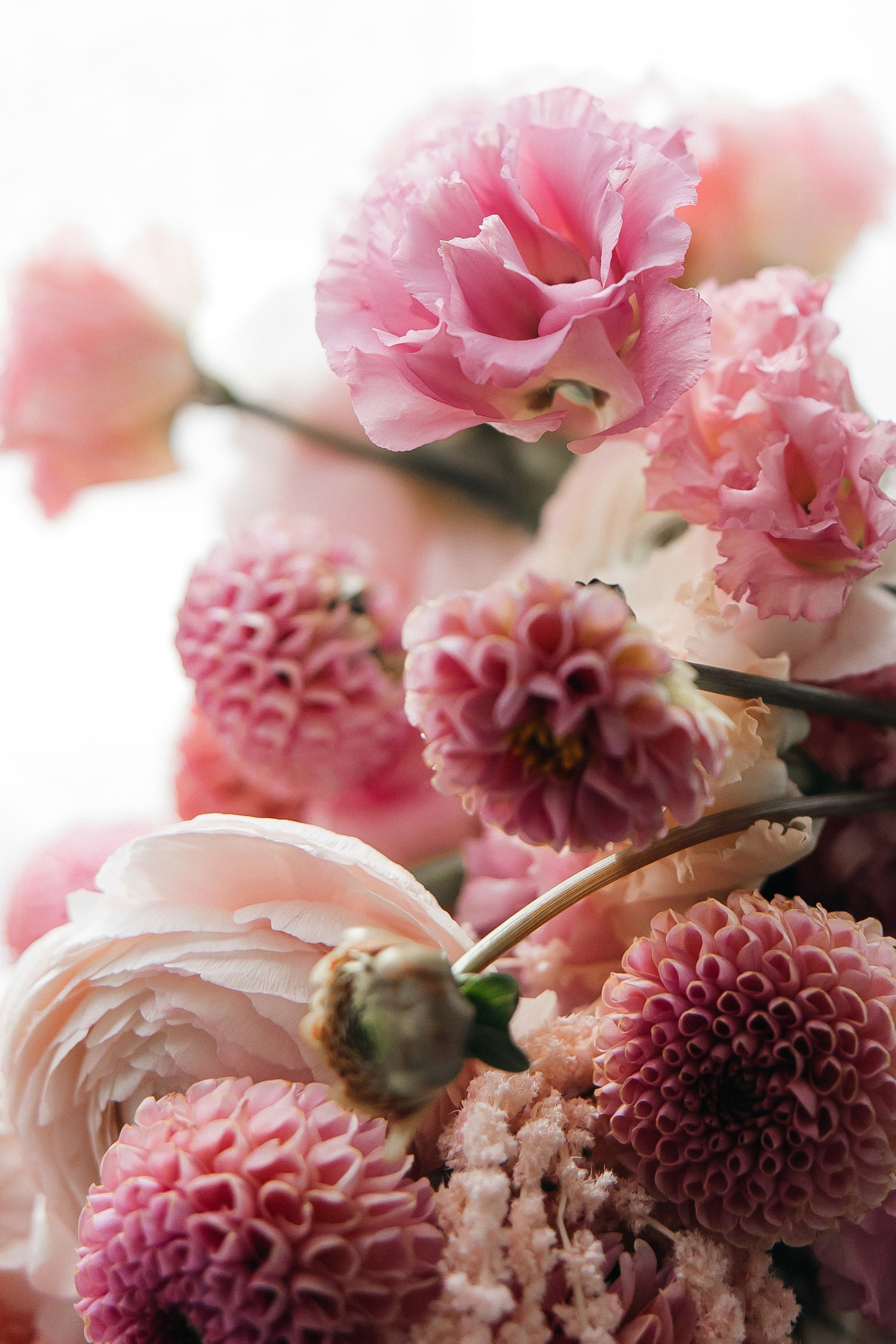 Леонид и София. СВАДЕБНЫЙ ФОТОГРАФ МОСКВА