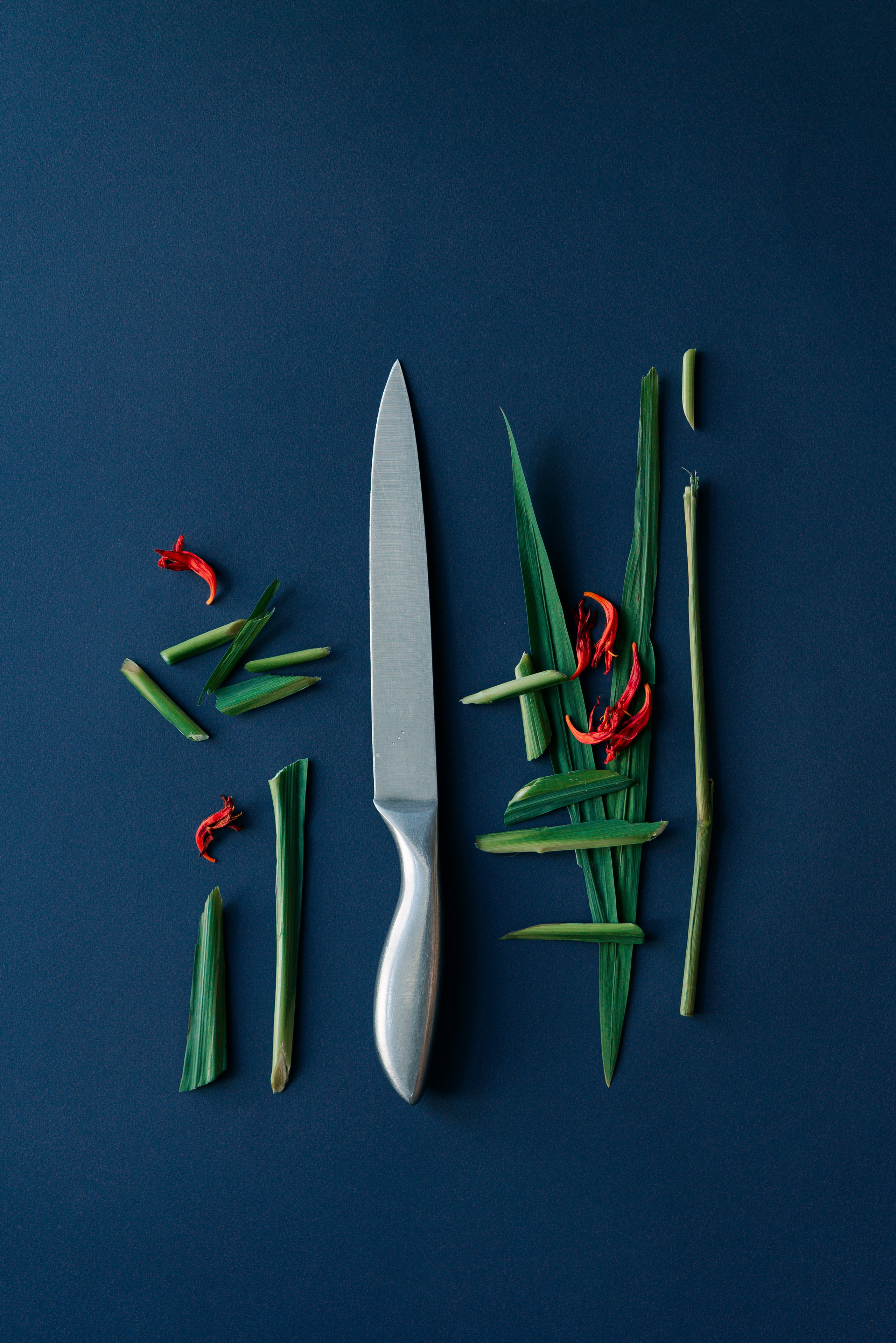 Сocoobird || Атмосфера твоего бренда в снимках и видео