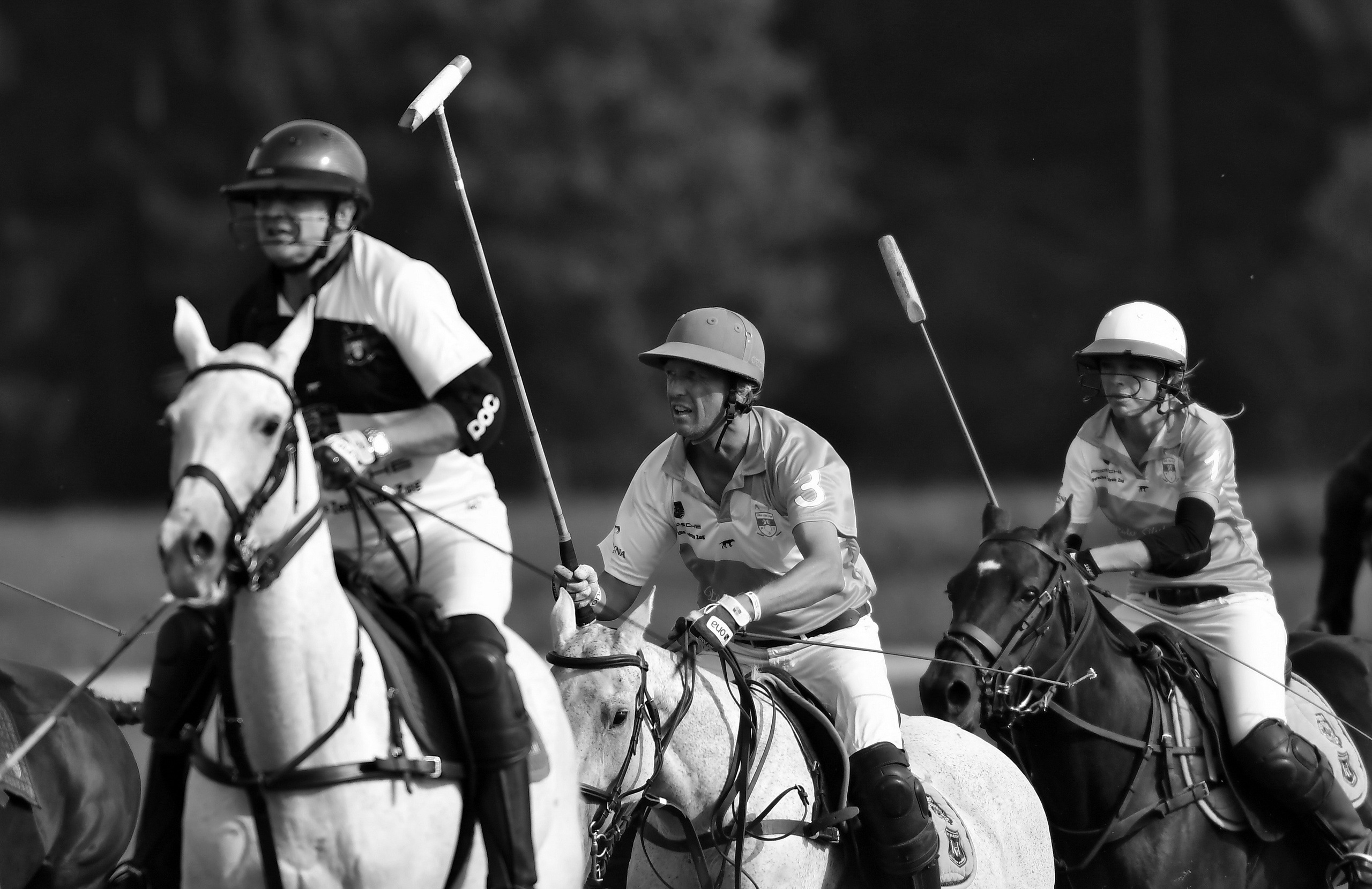 Polo art photos. Art photos of horses — ARTUR BABOEV | Photographer