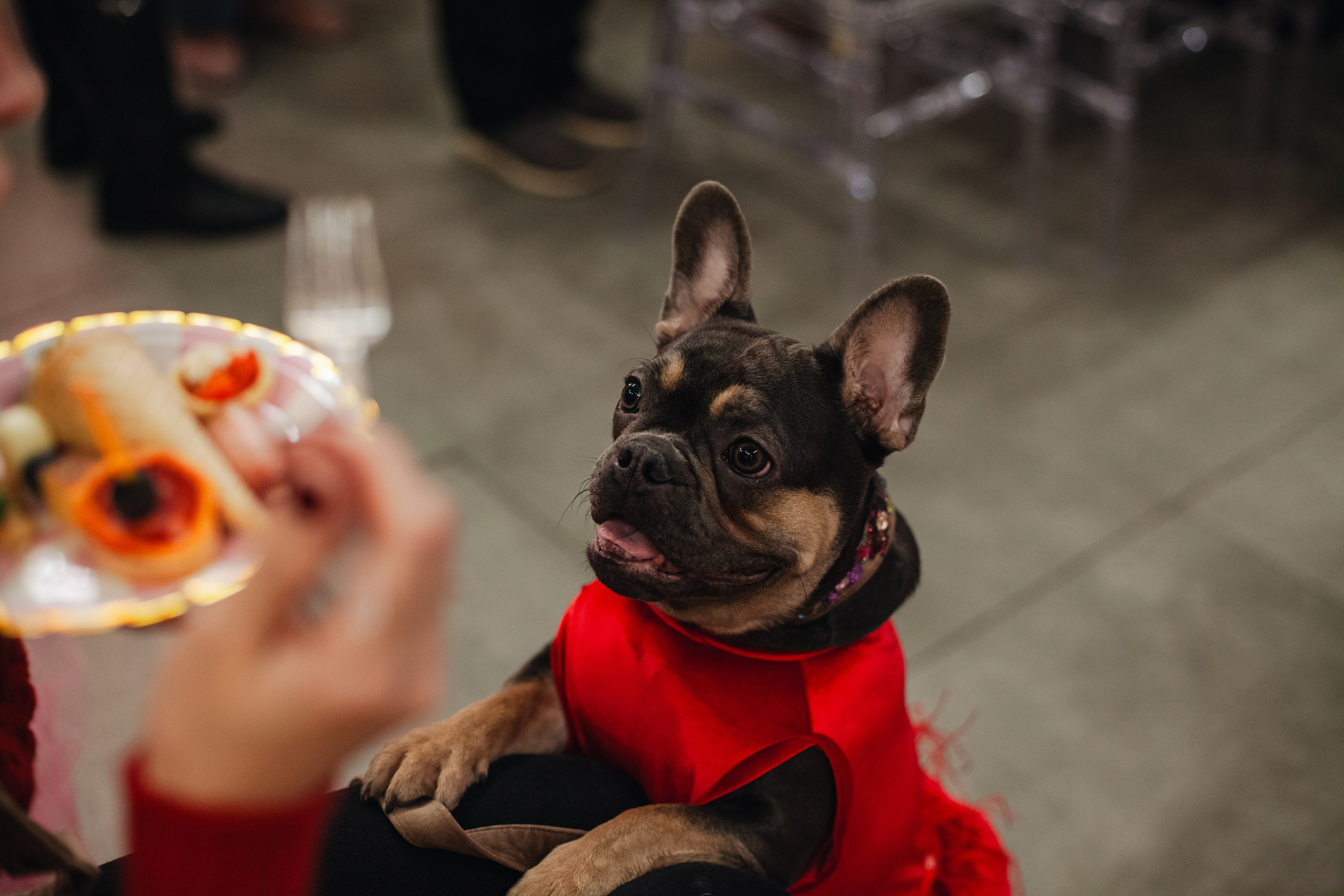 Бульёлка 2024. Фотограф-анималист Татьяна Степанова