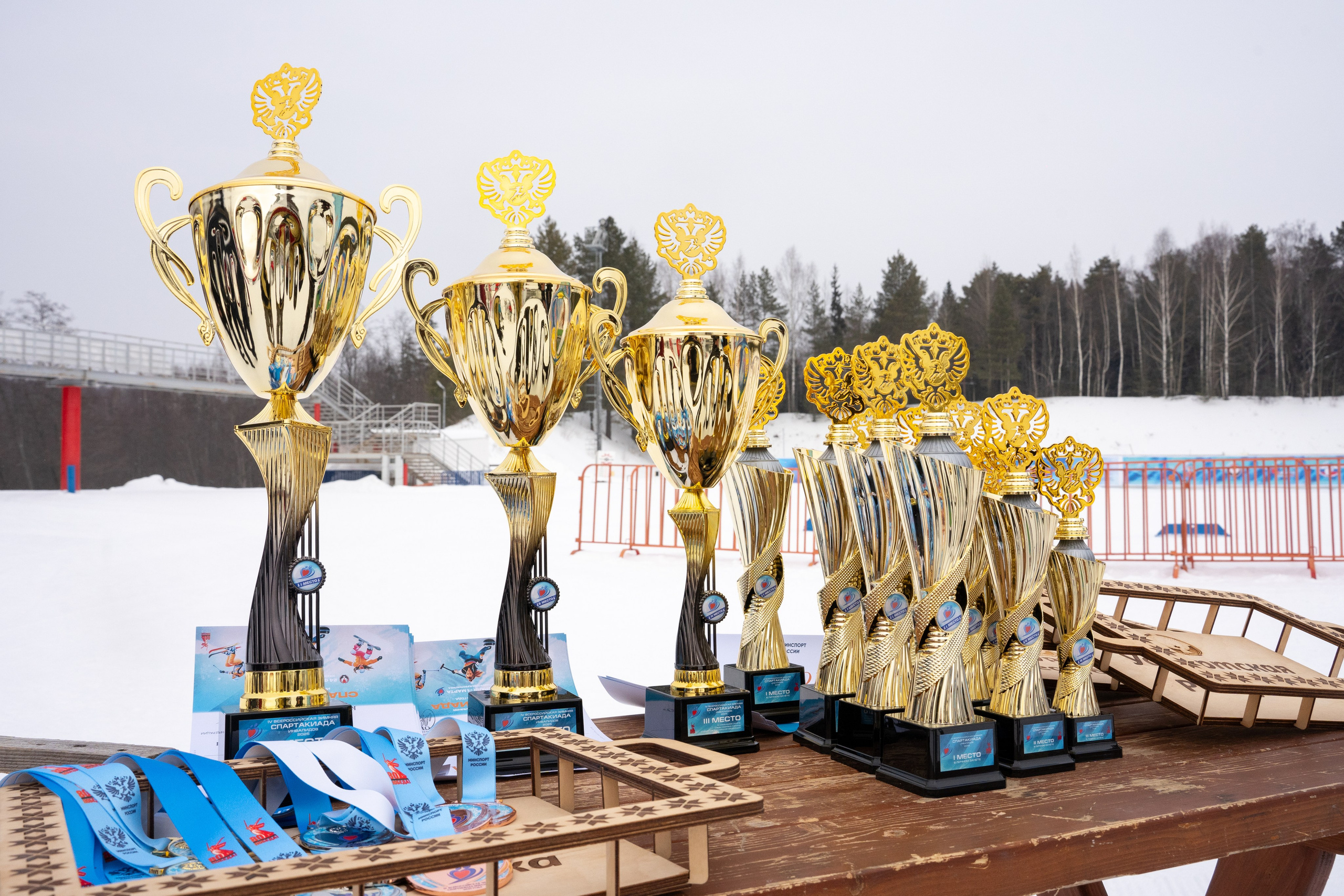 Спартакиада. Фотограф в Ижевске Максим Грундул