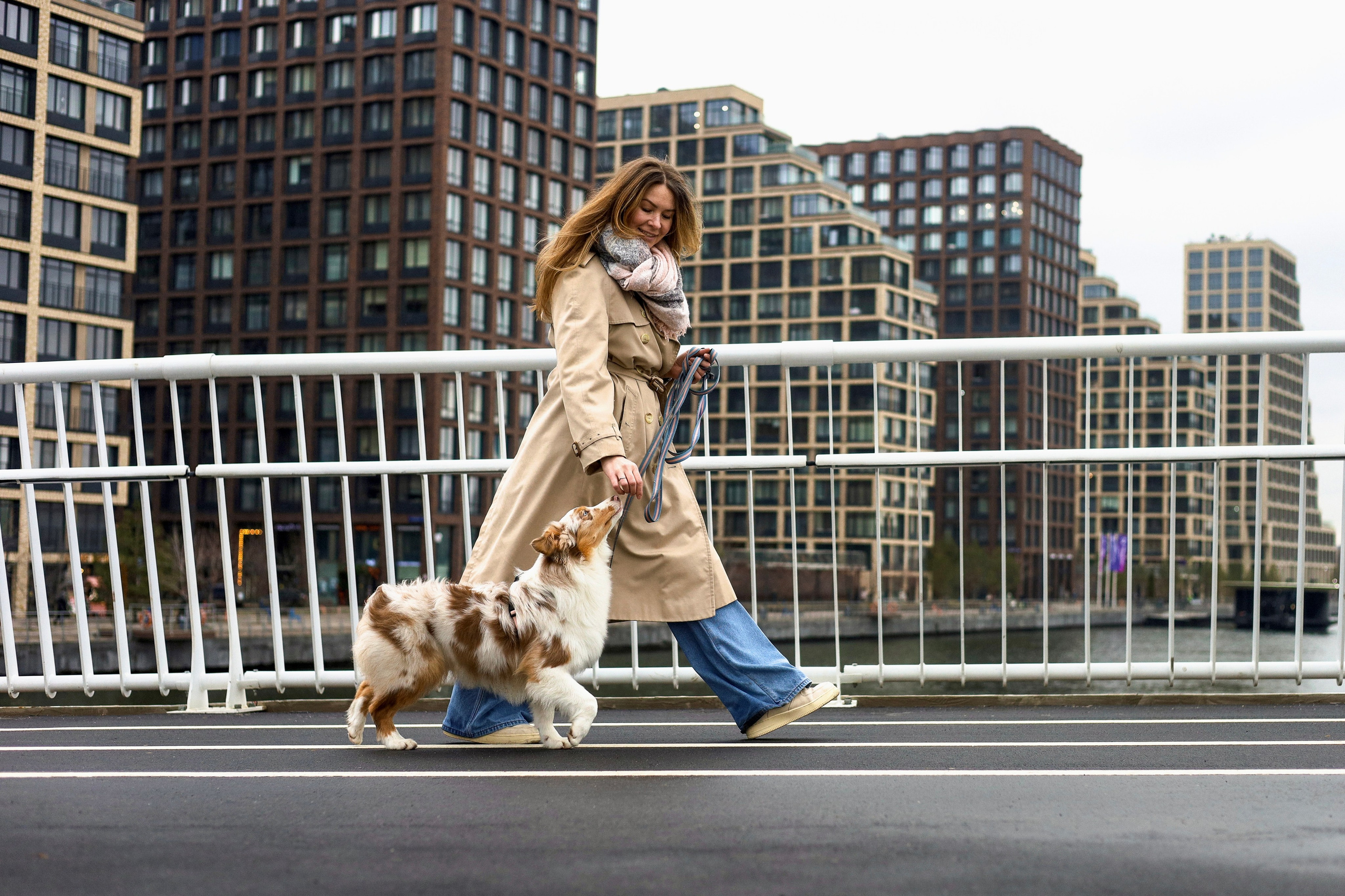 Бри и Яна. Фотограф-анималист Ксения Шевцова|Москва