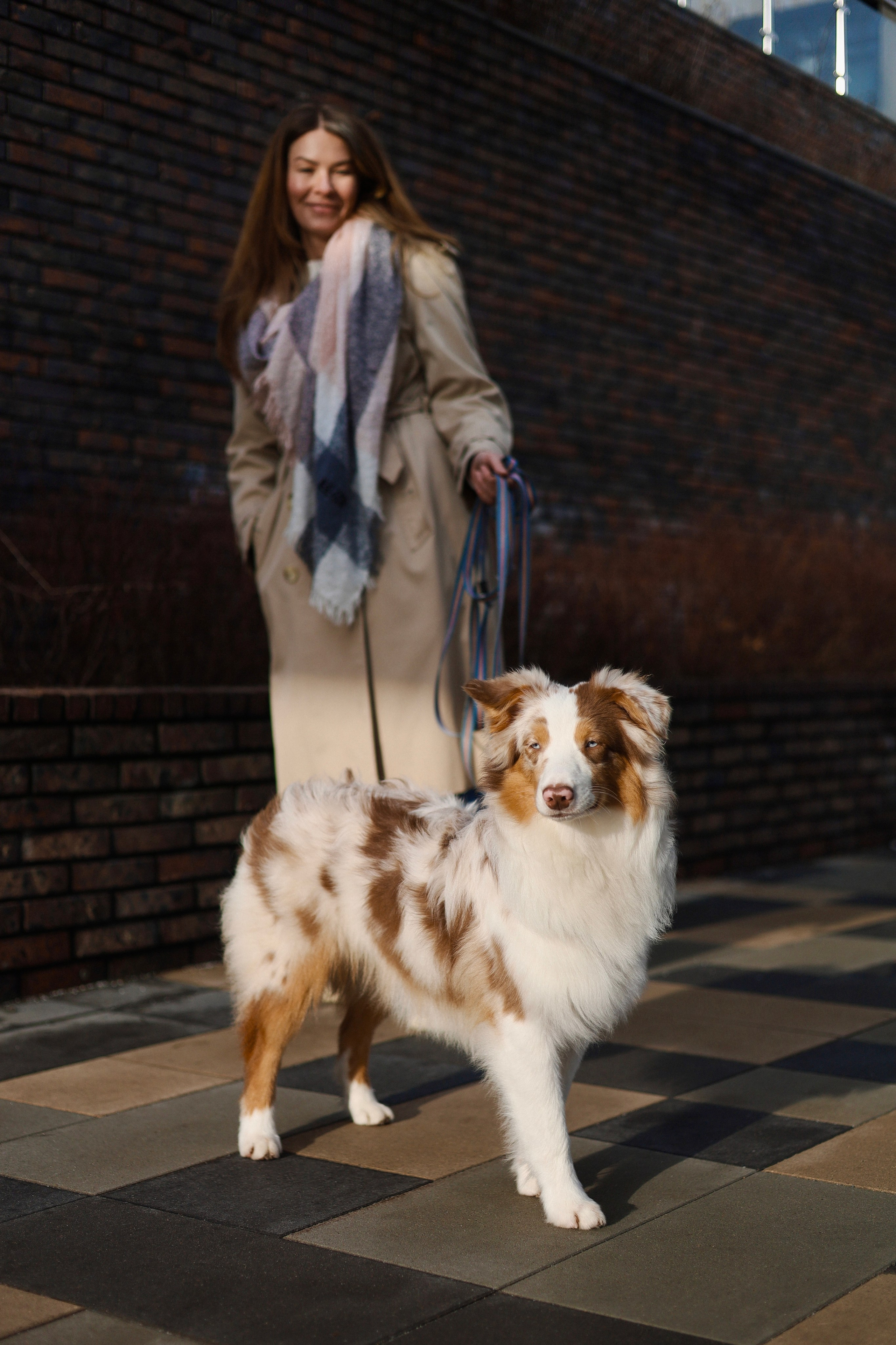 Бри и Яна. Фотограф-анималист Ксения Шевцова|Москва