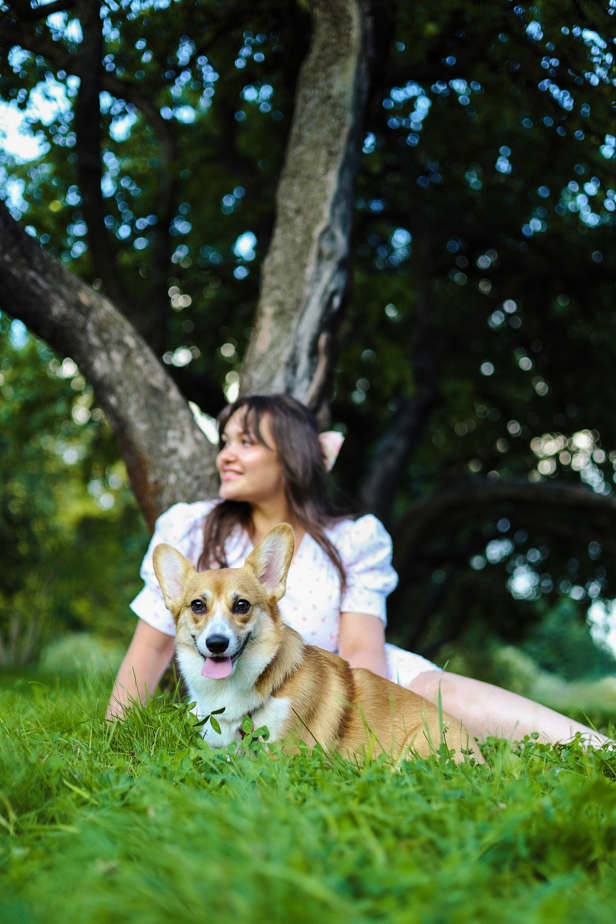 Эмили, Аня и Лёша. Фотограф-анималист Ксения Шевцова|Москва