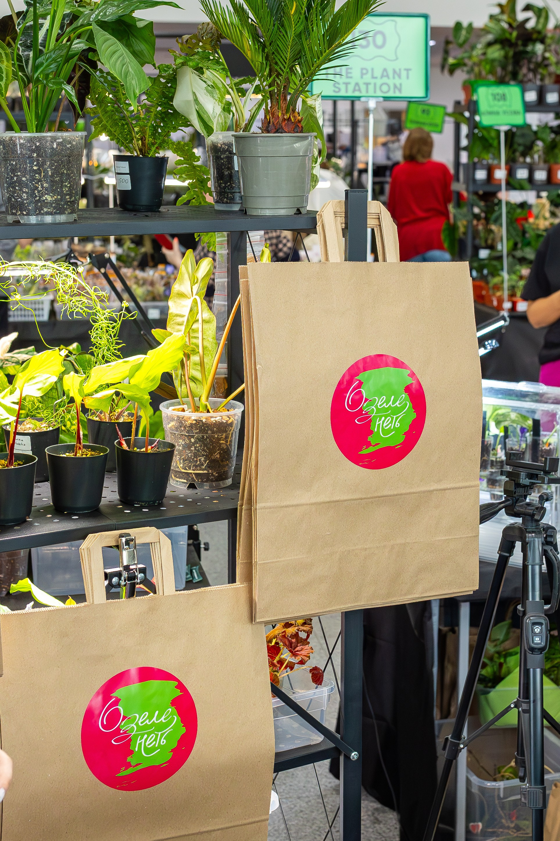 Монстериум апрель 2025. Александра Куликова фотограф, Москва