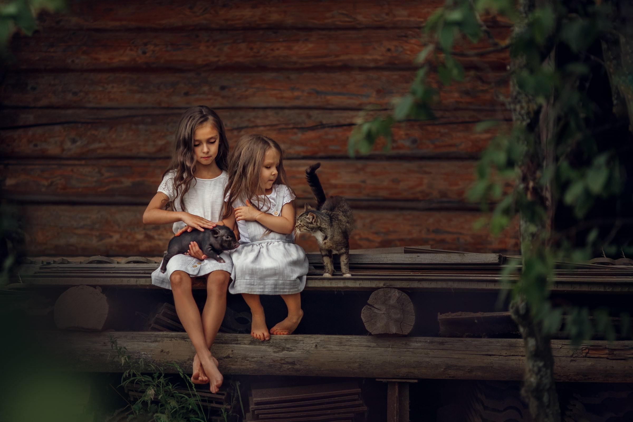 Портфолио | Фотограф Ярославль, Москва, фотосессия Костюк Зоя. Фотограф Зоя Костюк | Детский и семейный фотограф Ярославль, Кострома,