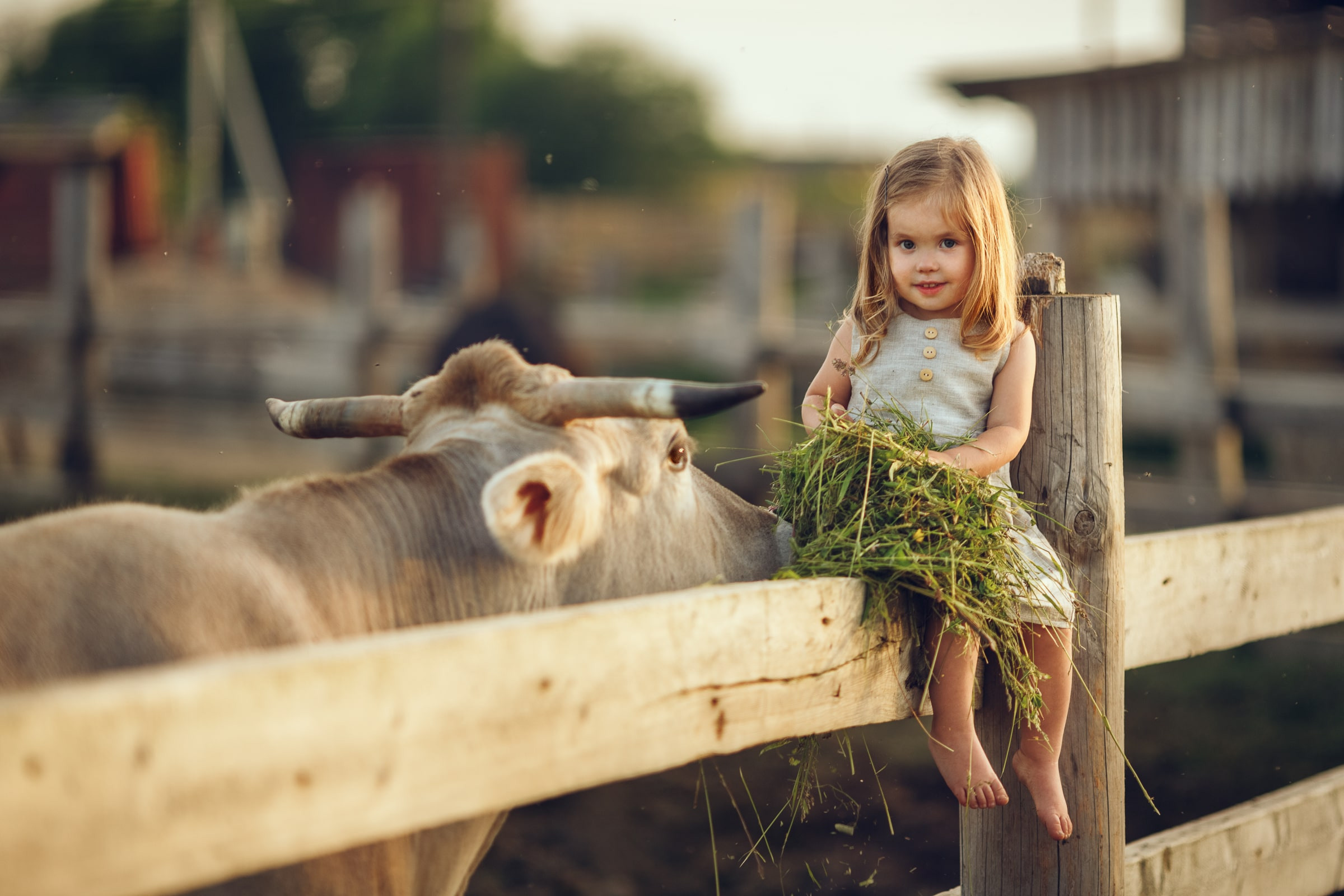 Портфолио | Фотограф Ярославль, Москва, фотосессия Костюк Зоя. Фотограф Зоя Костюк | Детский и семейный фотограф Ярославль, Кострома,