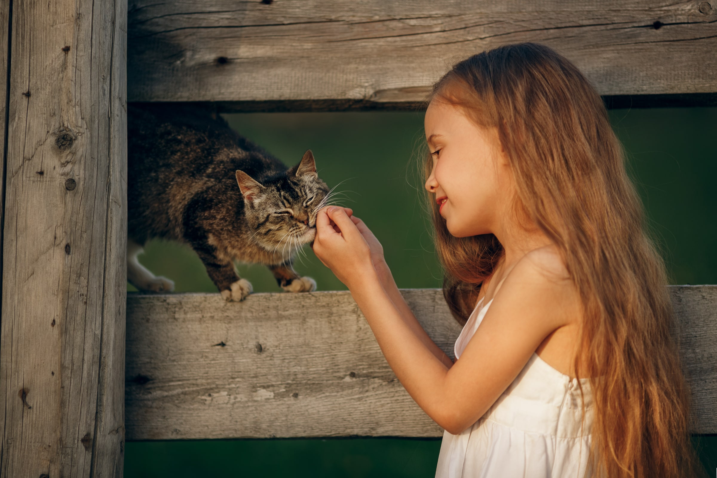 Портфолио | Фотограф Ярославль, Москва, фотосессия Костюк Зоя. Фотограф Зоя Костюк | Детский и семейный фотограф Ярославль, Кострома,