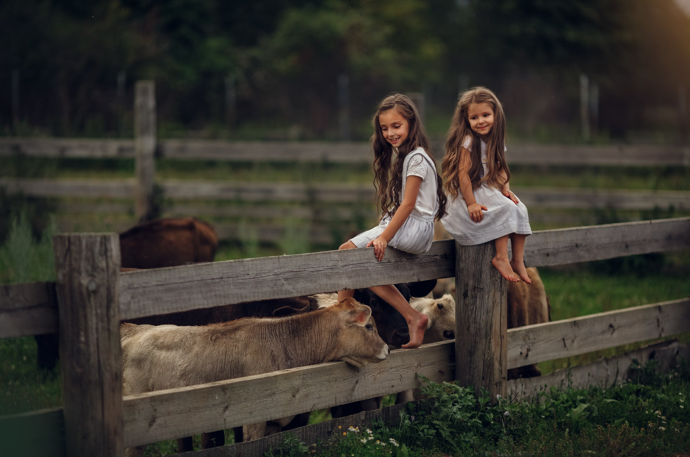Портфолио | Фотограф Ярославль, Москва, фотосессия Костюк Зоя. Фотограф Зоя Костюк | Детский и семейный фотограф Ярославль, Кострома,