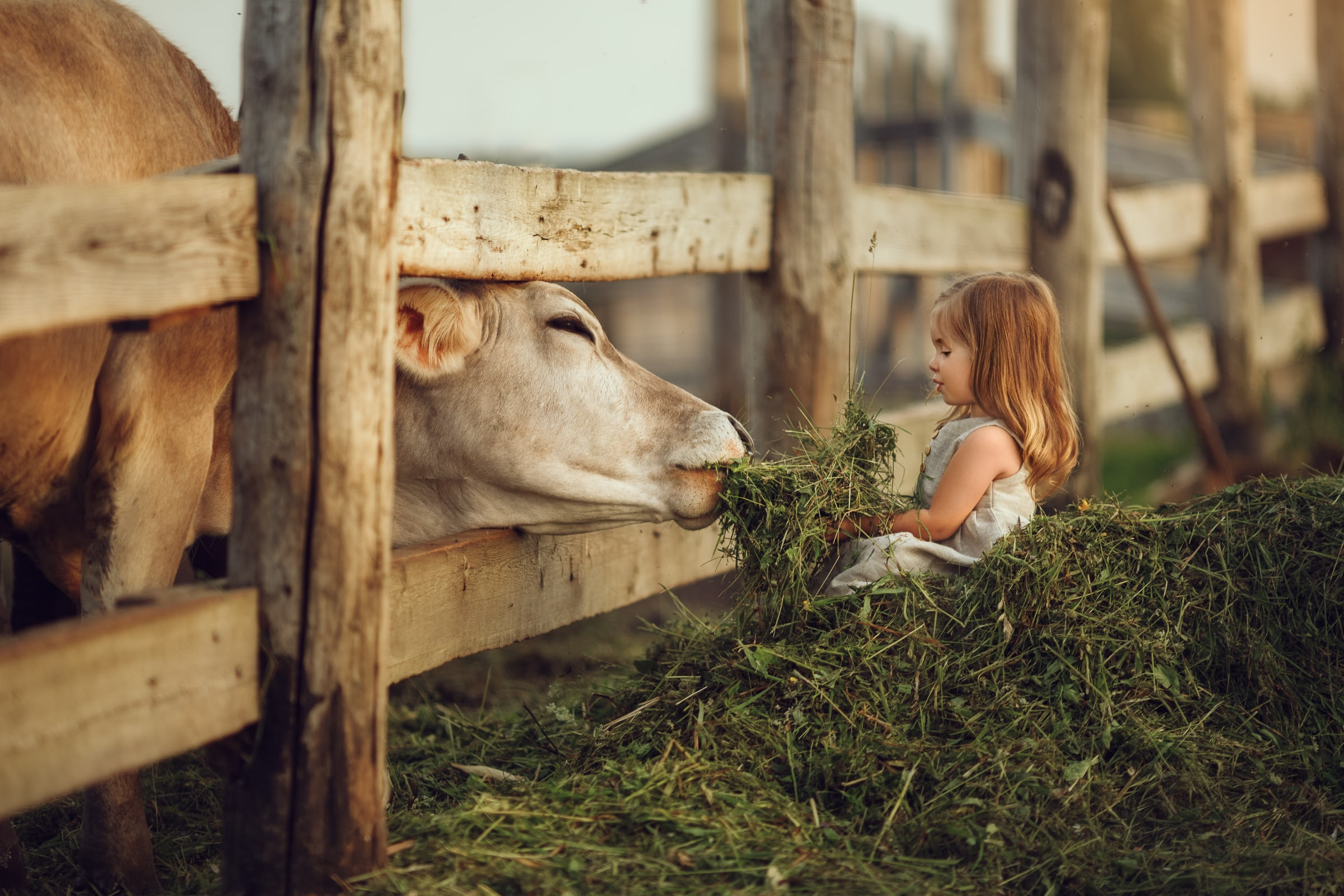 Портфолио | Фотограф Ярославль, Москва, фотосессия Костюк Зоя. Фотограф Зоя Костюк | Детский и семейный фотограф Ярославль, Кострома,