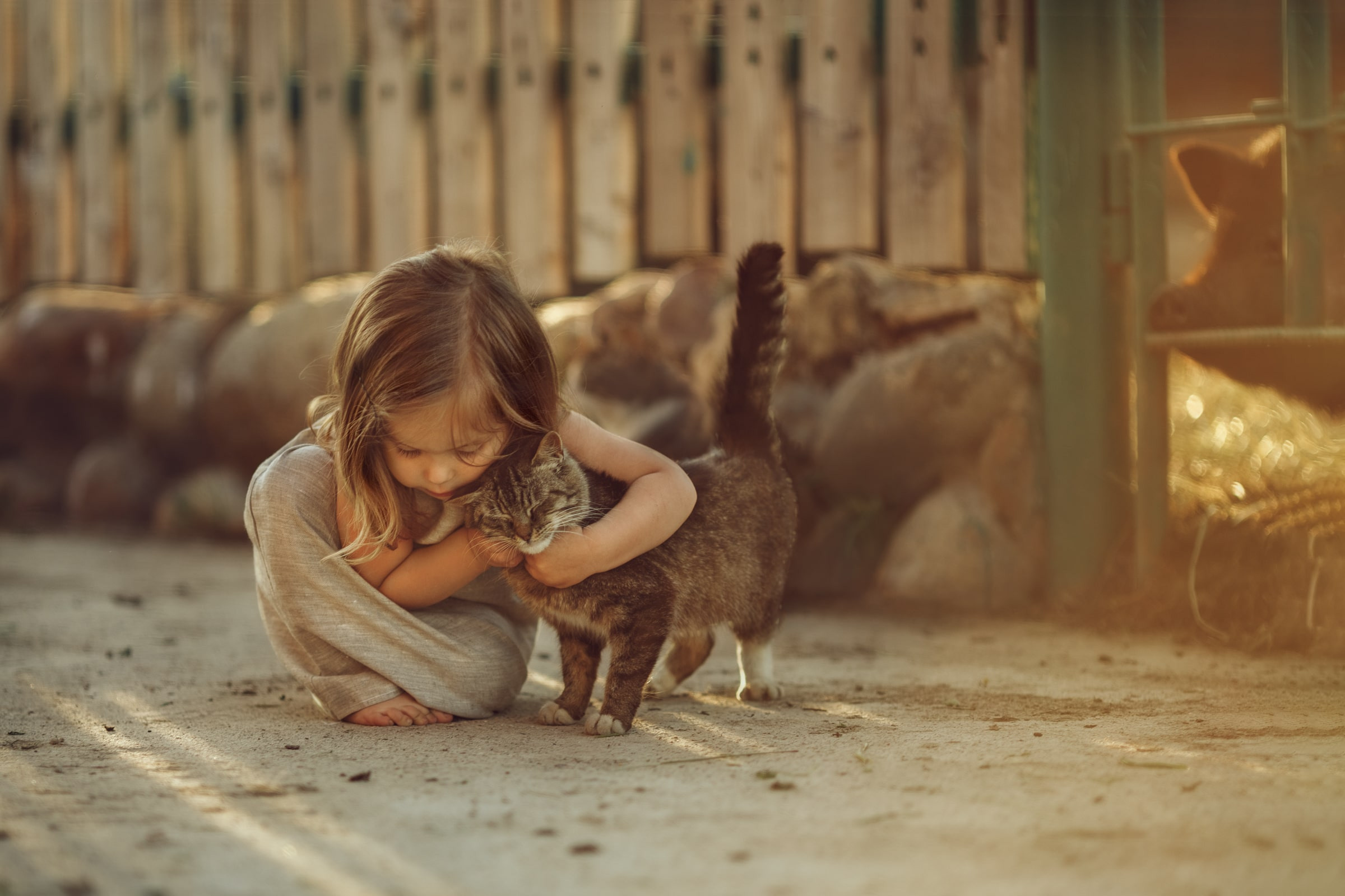 Портфолио | Фотограф Ярославль, Москва, фотосессия Костюк Зоя. Фотограф Зоя Костюк | Детский и семейный фотограф Ярославль, Кострома,