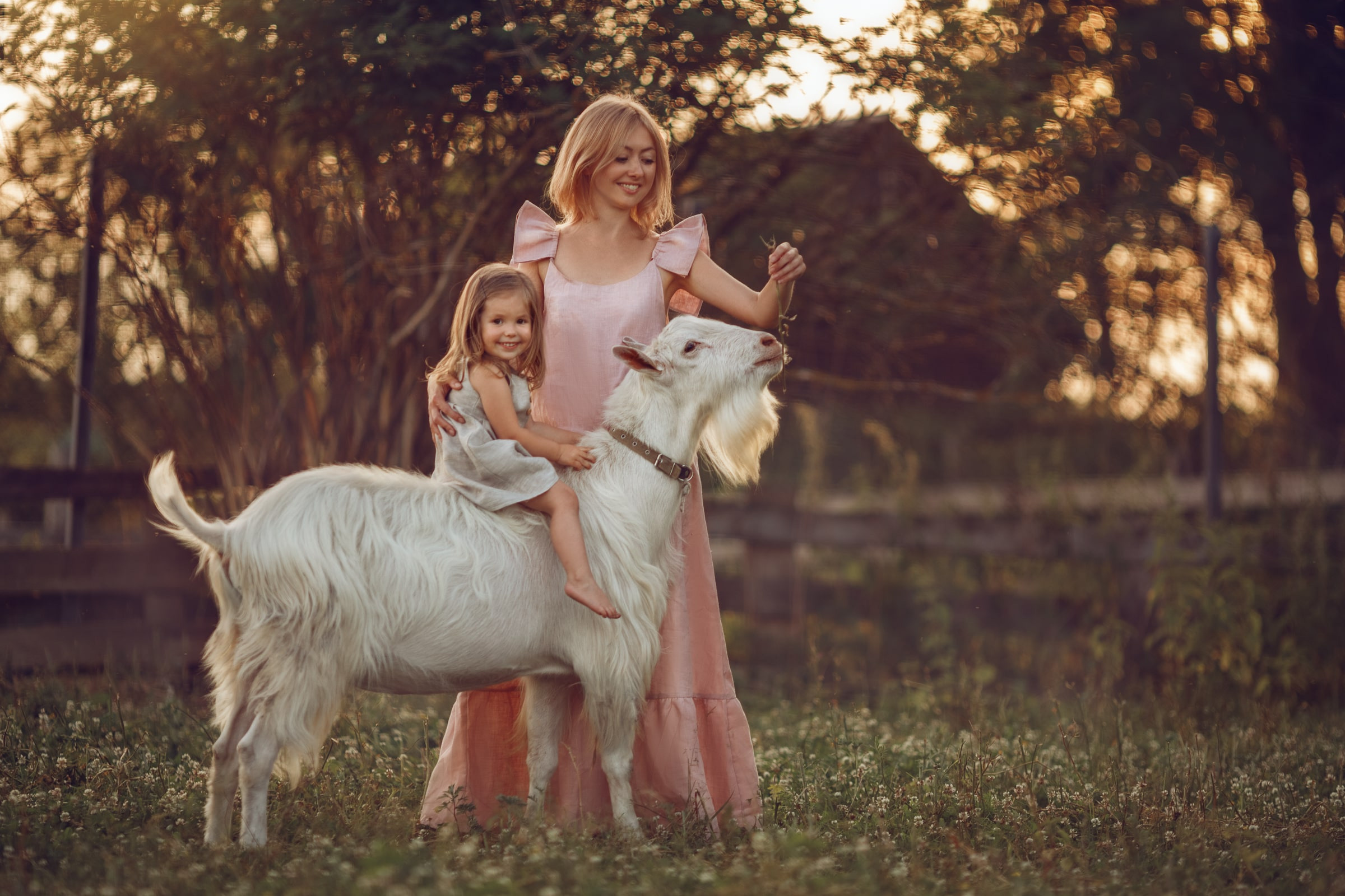 Портфолио | Фотограф Ярославль, Москва, фотосессия Костюк Зоя. Фотограф Зоя Костюк | Детский и семейный фотограф Ярославль, Кострома,
