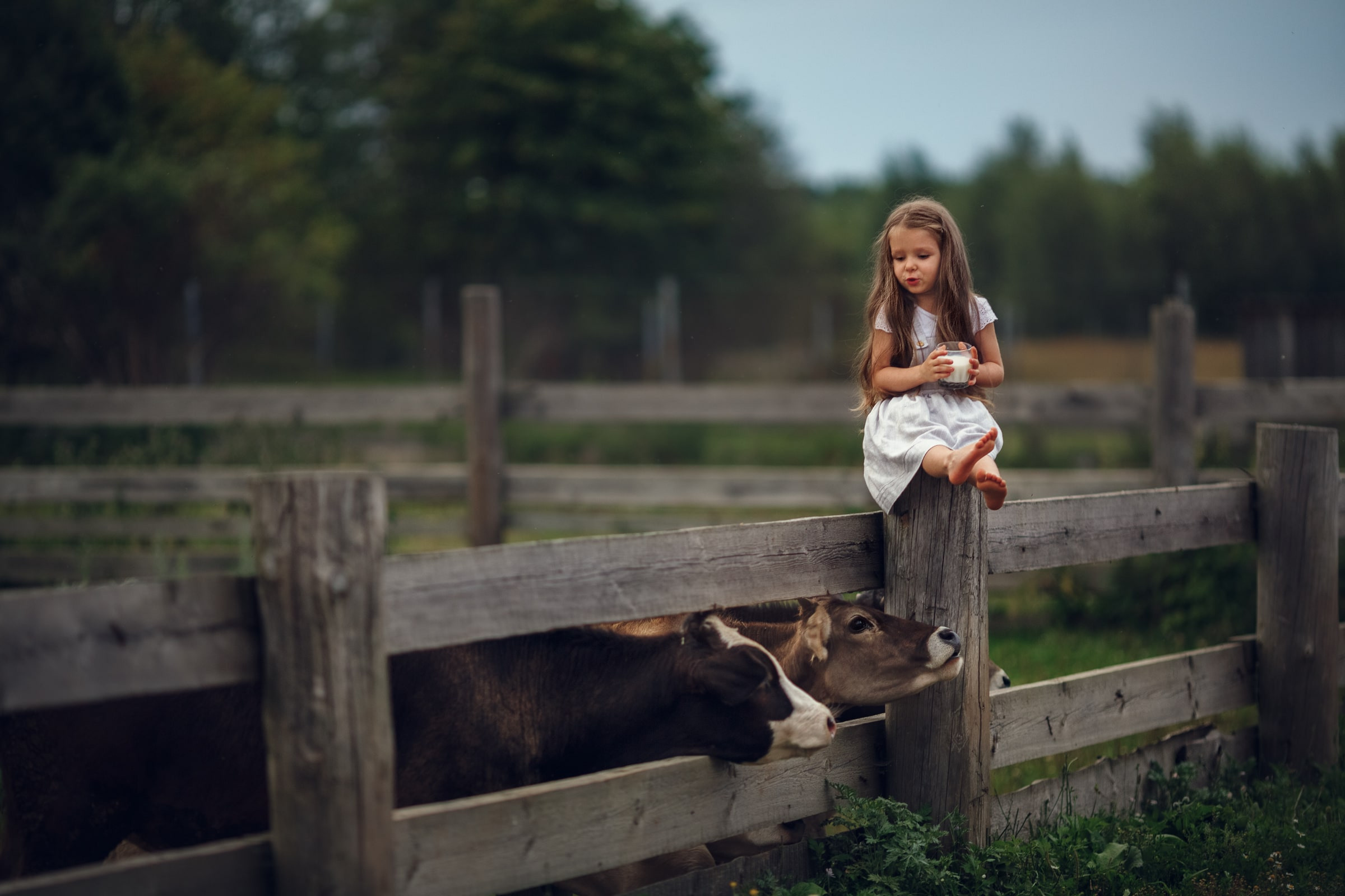 Портфолио | Фотограф Ярославль, Москва, фотосессия Костюк Зоя. Фотограф Зоя Костюк | Детский и семейный фотограф Ярославль, Кострома,