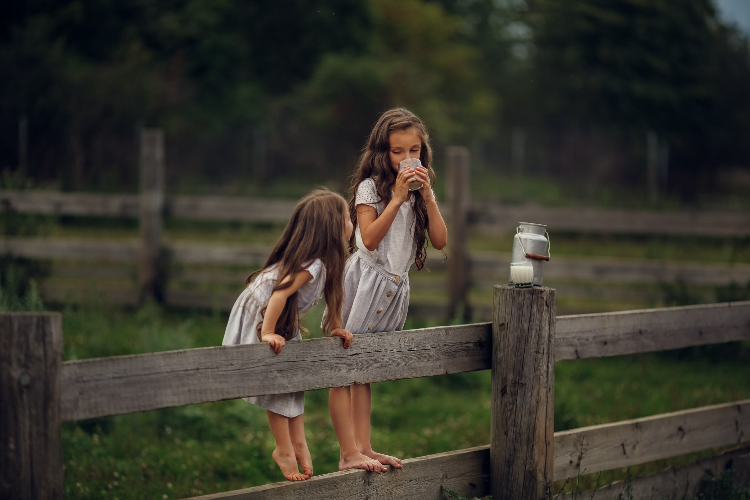 Портфолио | Фотограф Ярославль, Москва, фотосессия Костюк Зоя. Фотограф Зоя Костюк | Детский и семейный фотограф Ярославль, Кострома,