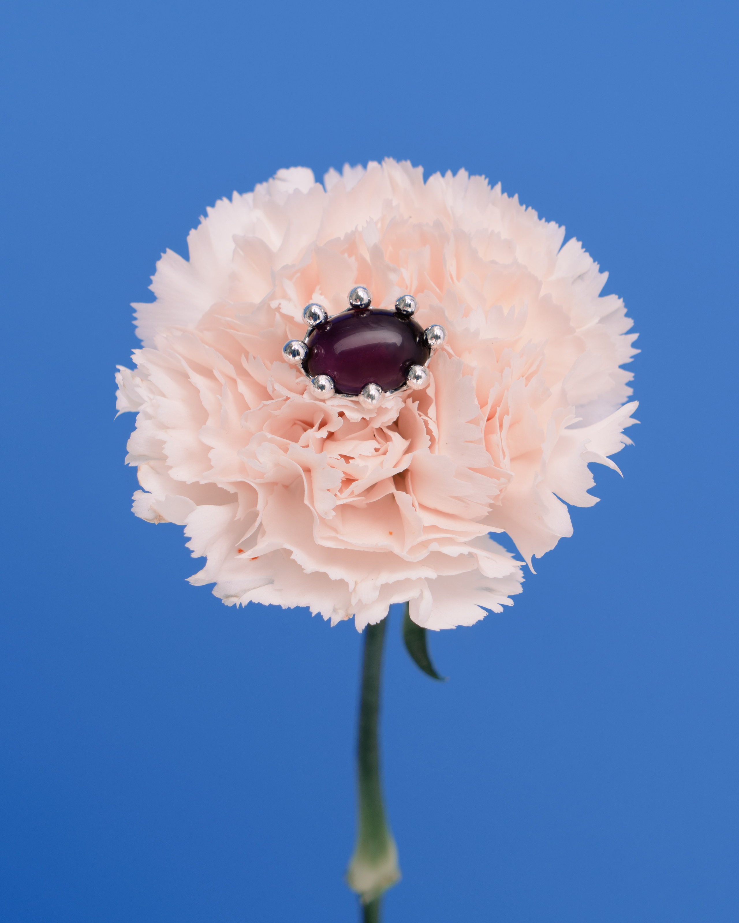 Bohoann. Fashion фотограф и Арт директор. Санкт-Петербург и Москва