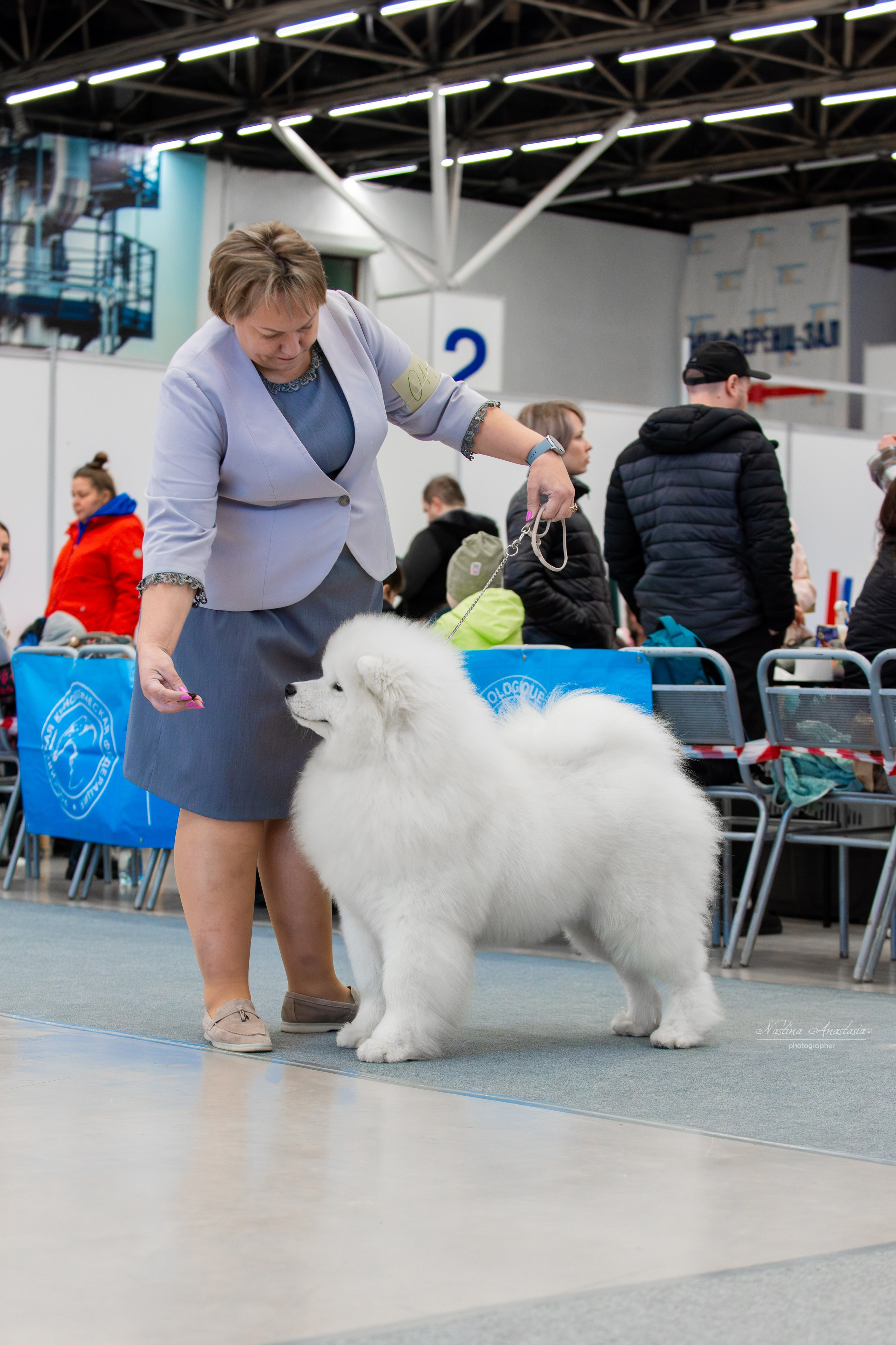 Выставки. Фотограф — Анималист