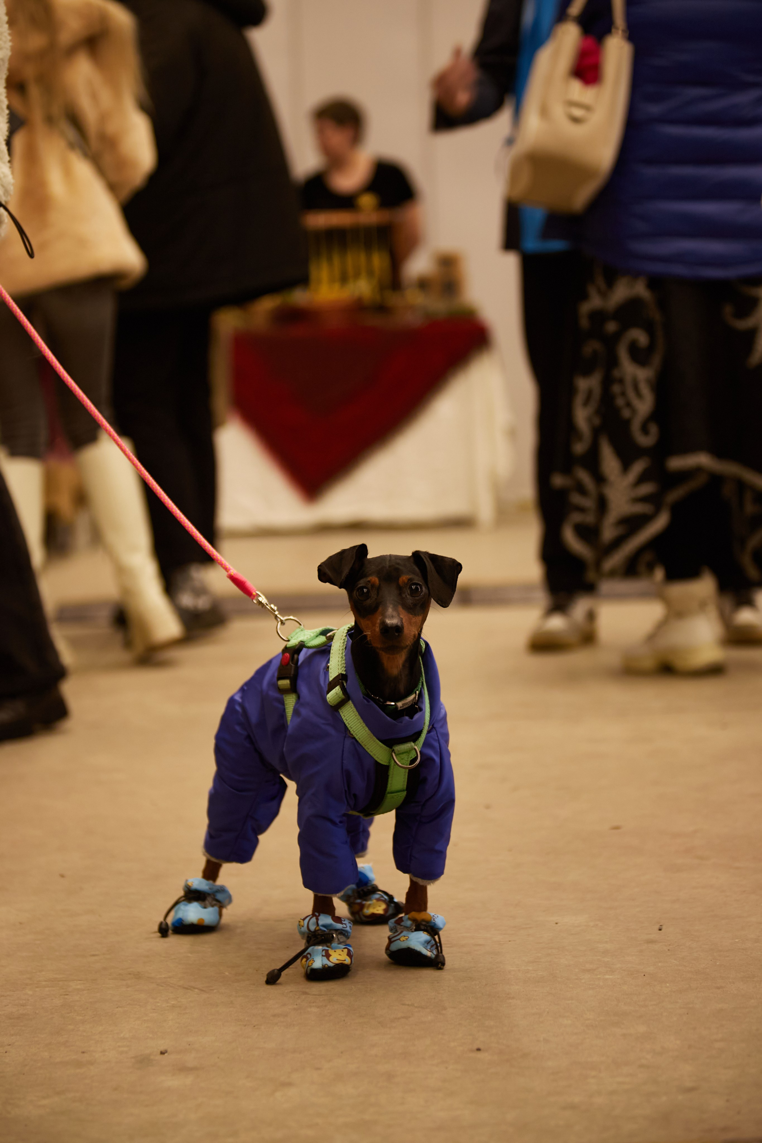 Выставки/Ярмарки. Профессиональный фотограф в Москве