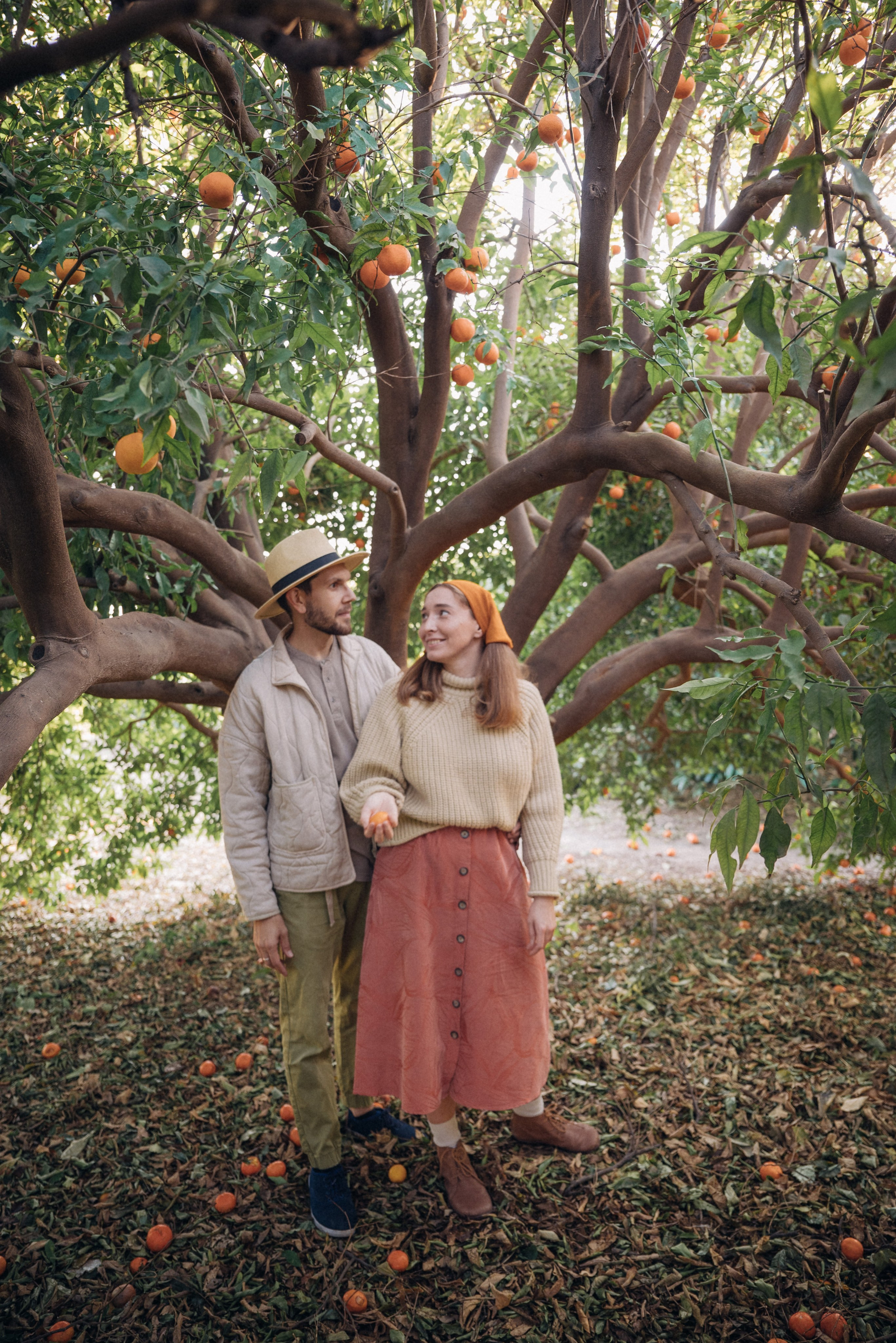 Сбор урожая. Анна Лобанова | фотограф